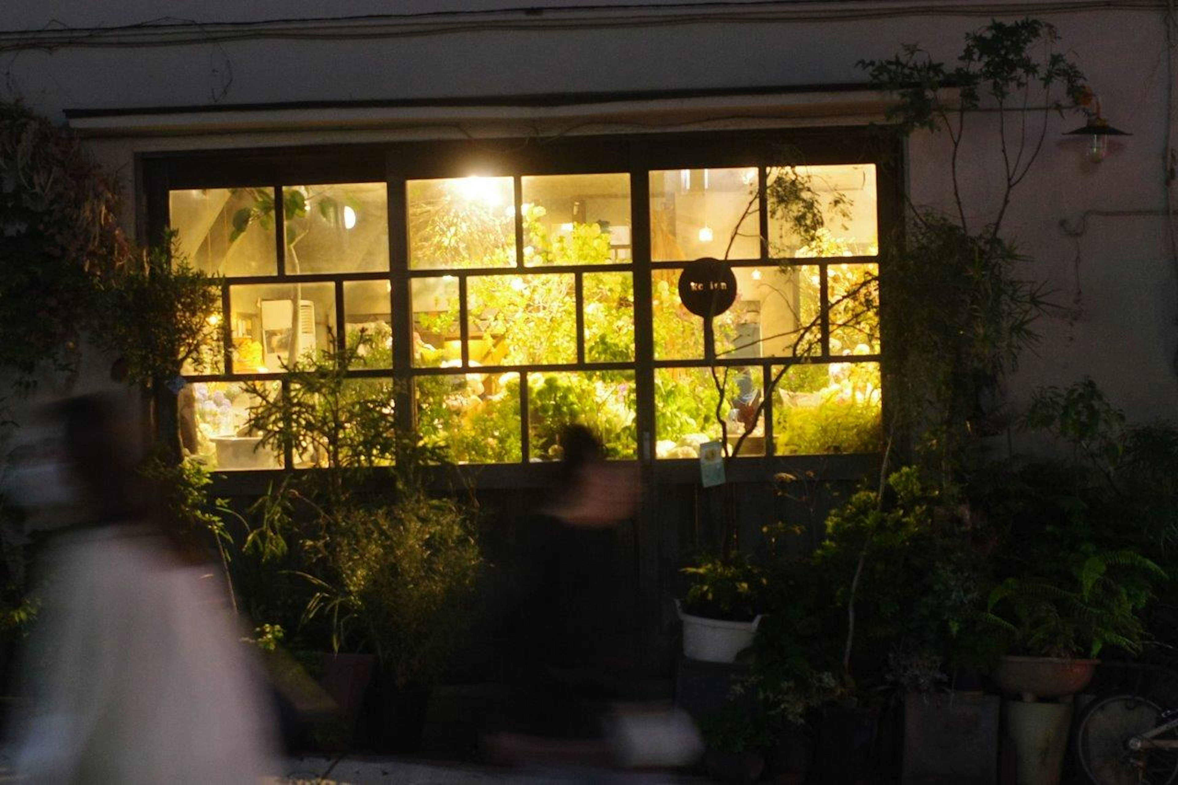 Warm window view filled with plants and passerby