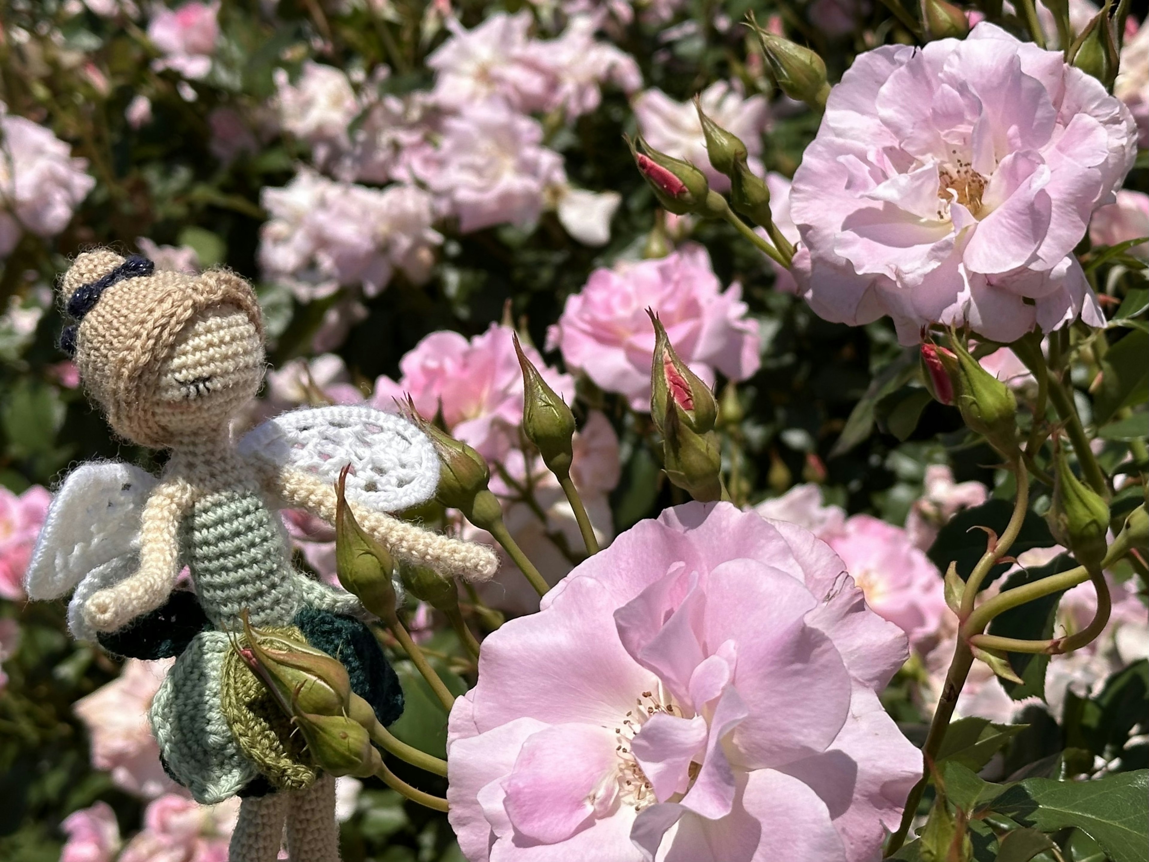 Eine gehäkelte Biene neben blühenden rosa Rosen