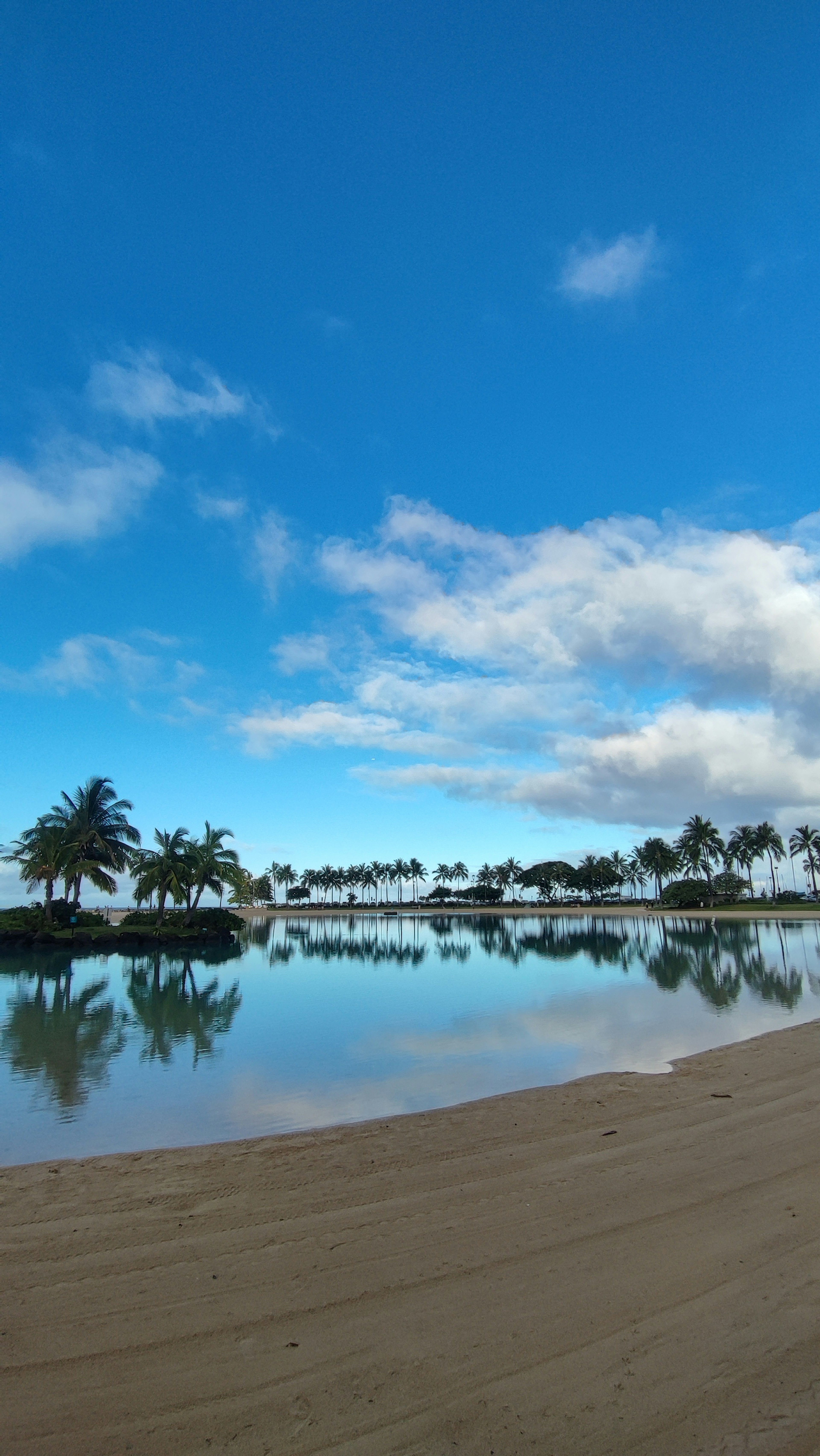 Plage avec ciel bleu clair et nuages reflétés sur la surface de l'eau et palmiers