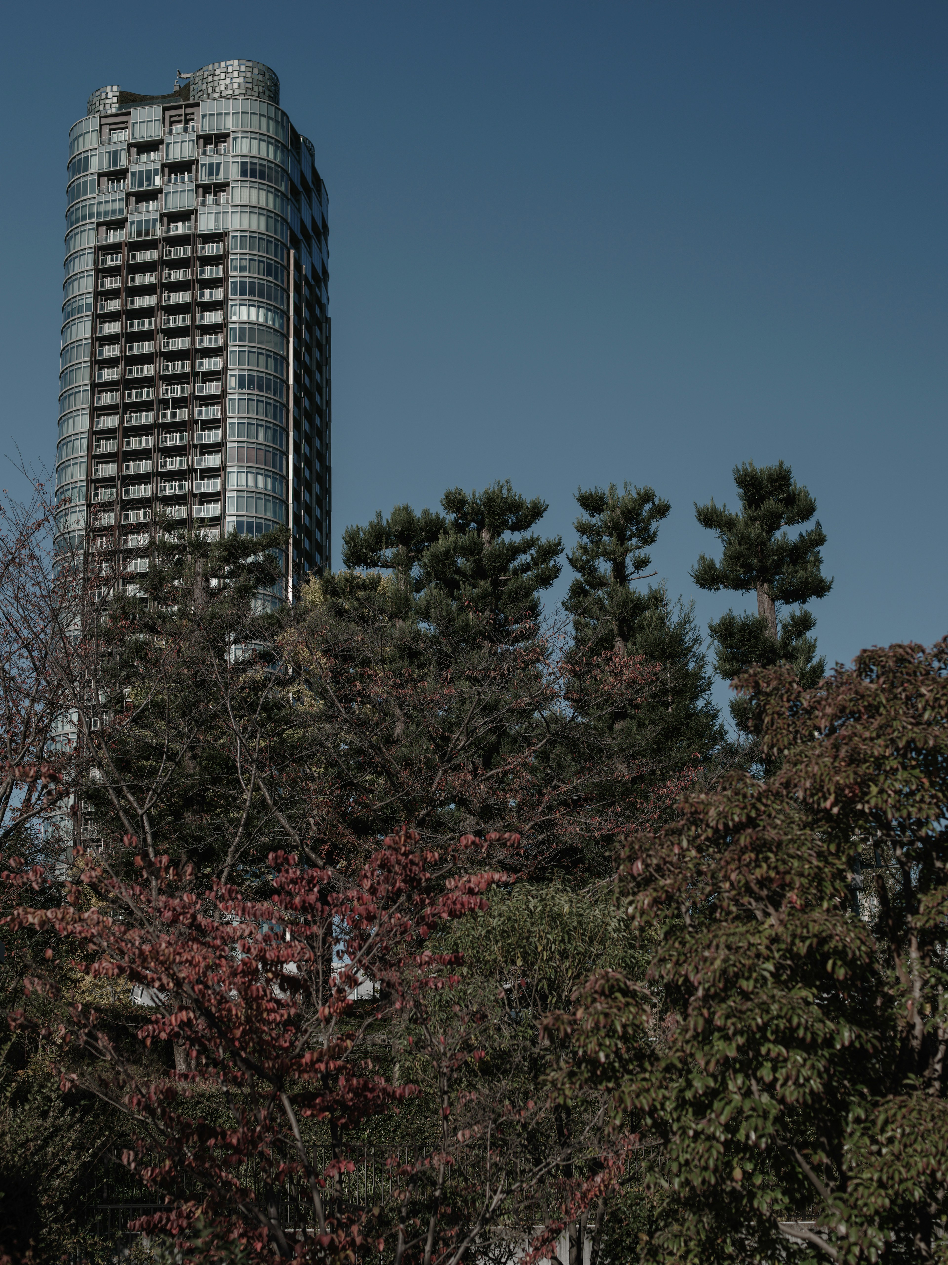 Skyscraper with lush greenery in the foreground