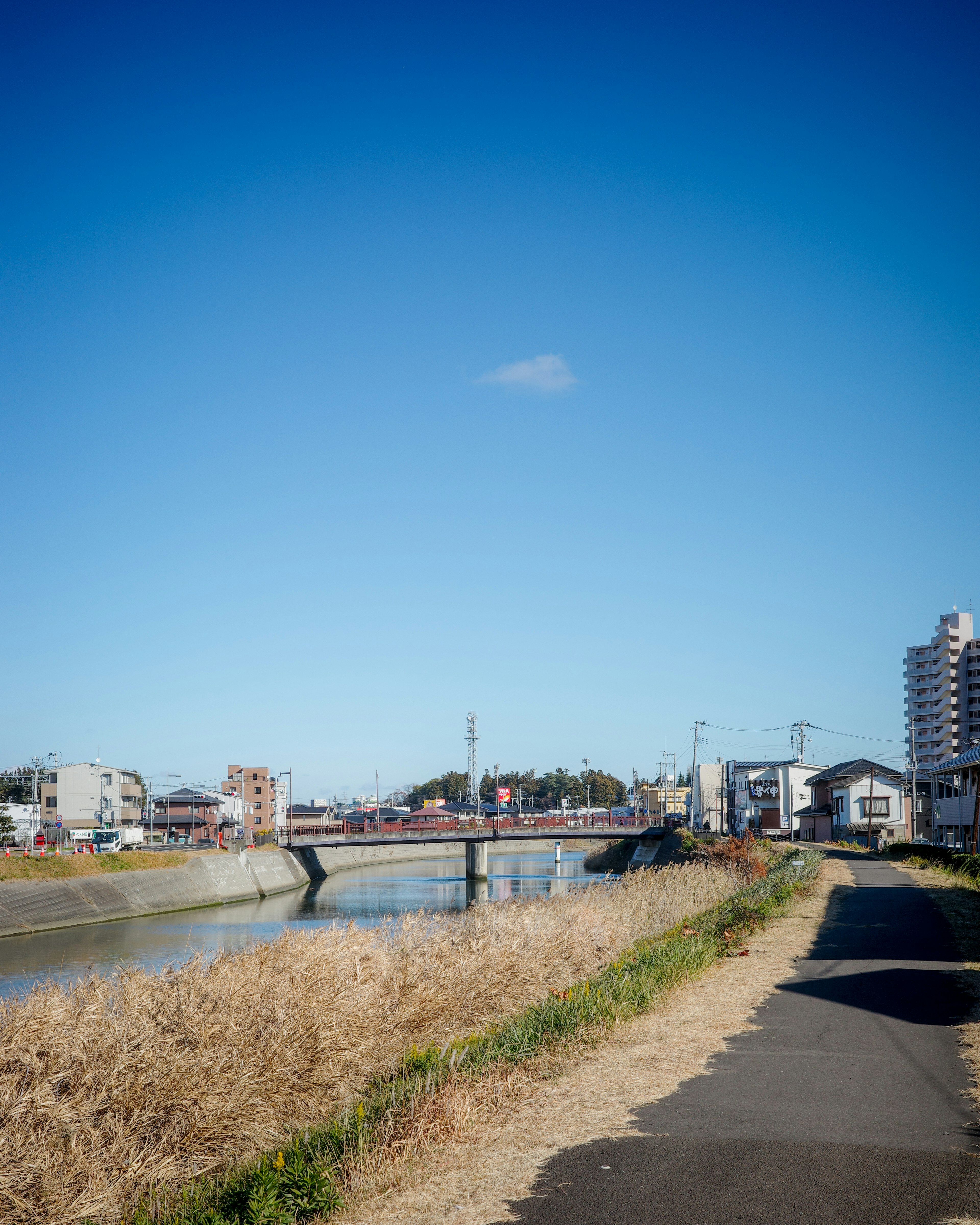 青い空と川沿いの歩道が広がる風景