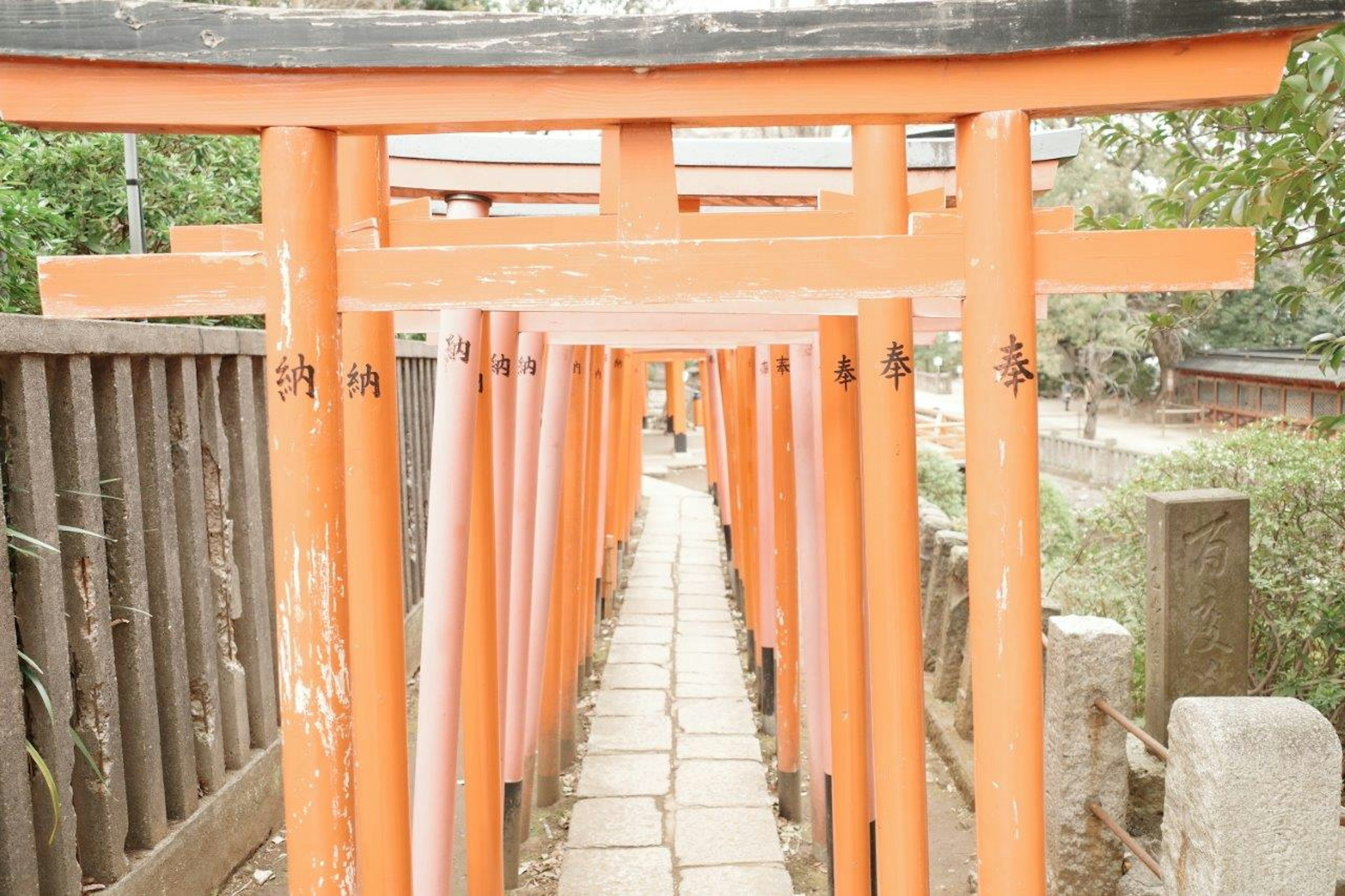 オレンジ色の鳥居が並ぶ小道の風景