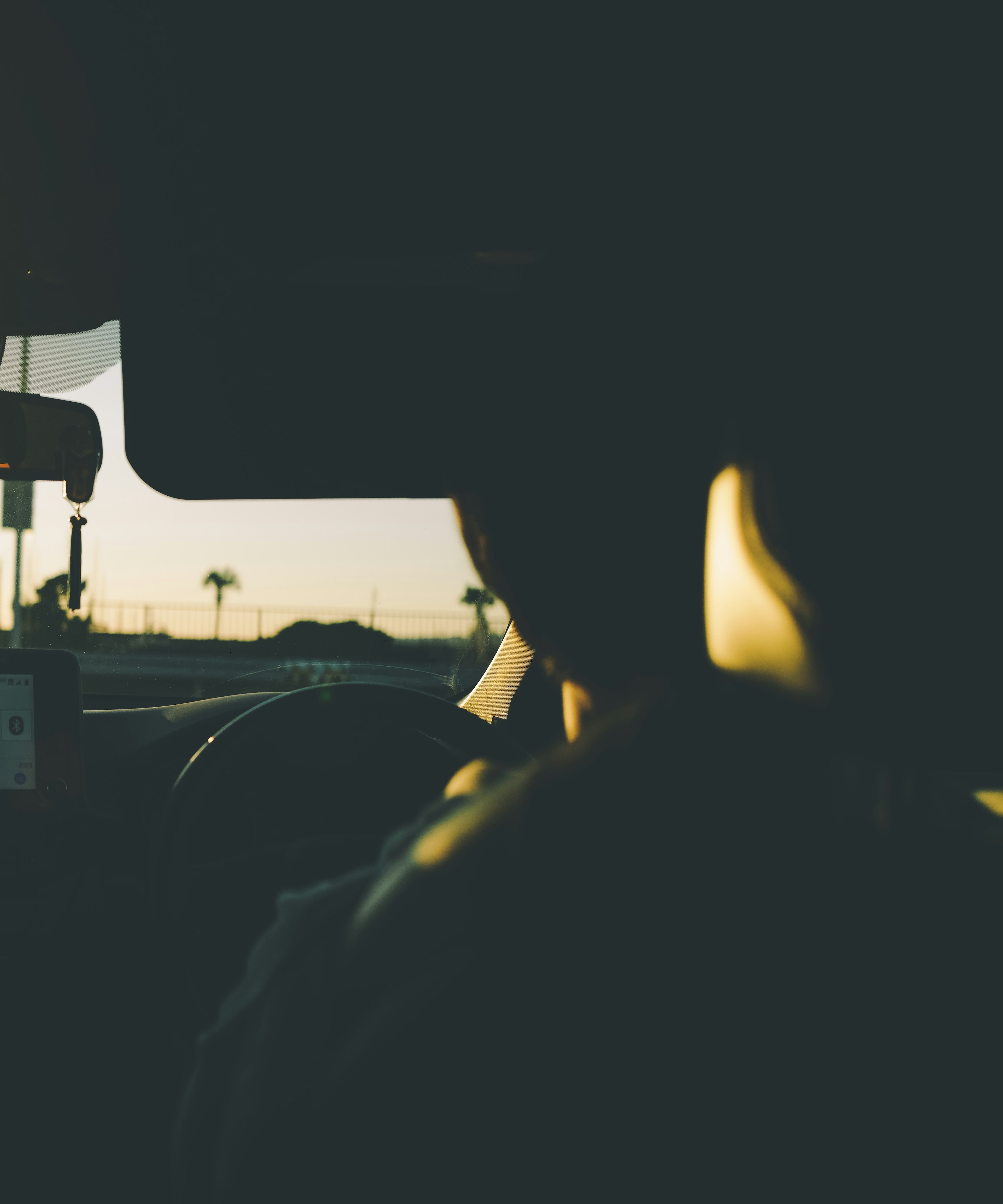 Silhouette di un conducente contro il tramonto con dettagli interni