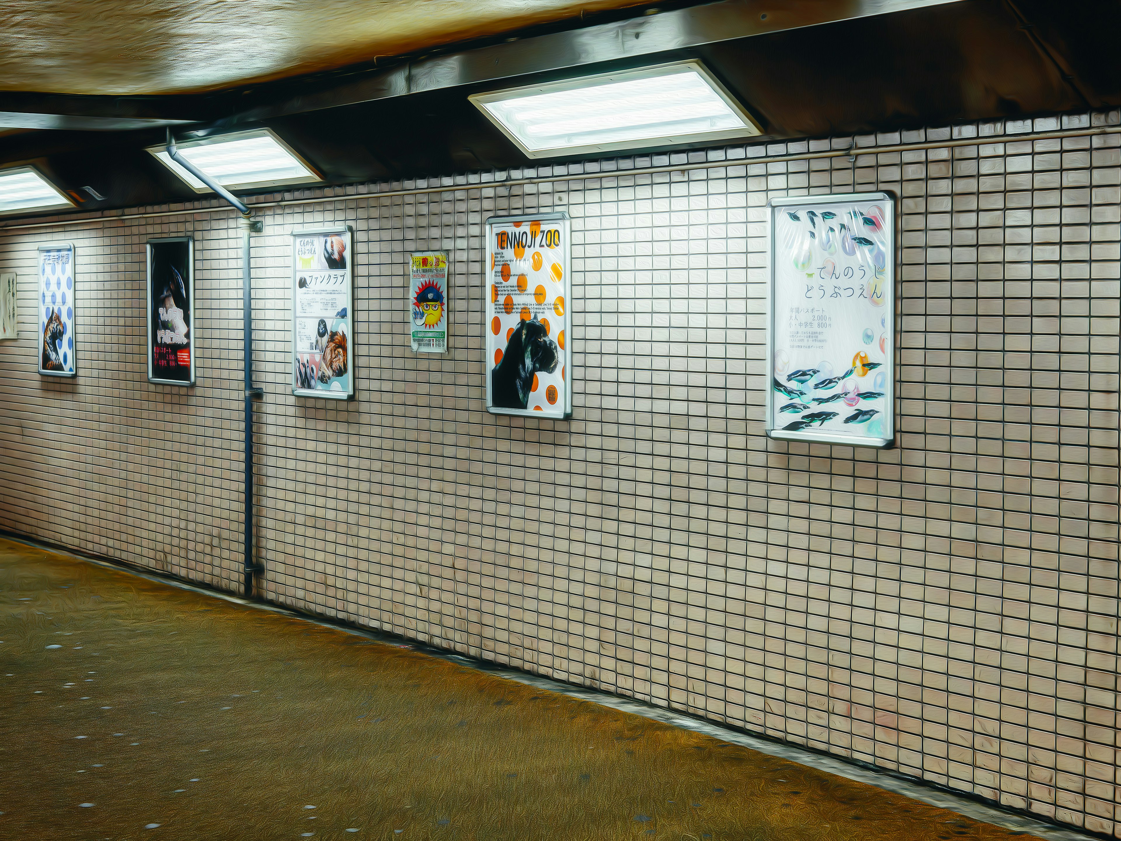 Several posters displayed on a tiled wall under bright lighting