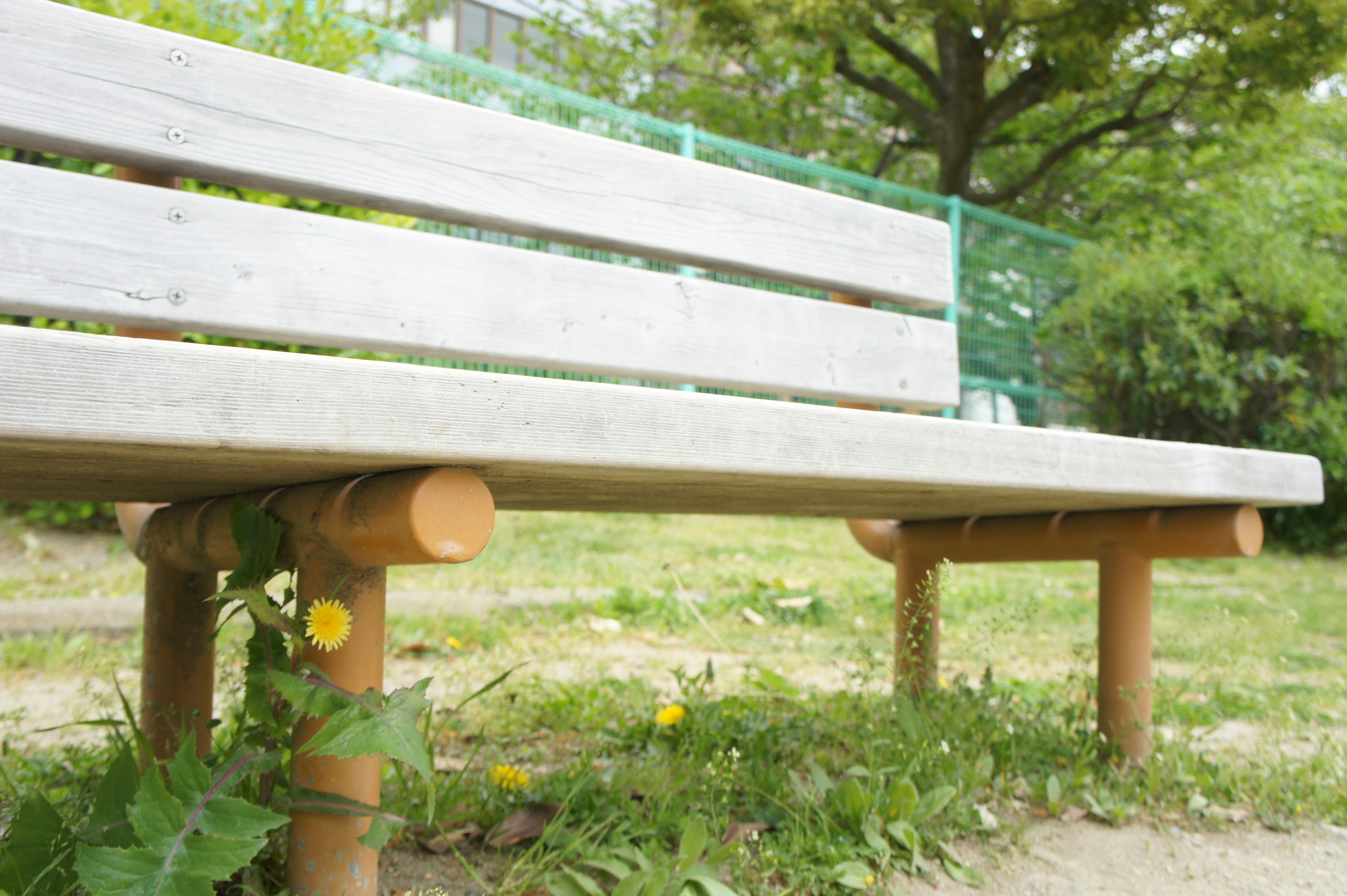 Banco de parque con vegetación y flores