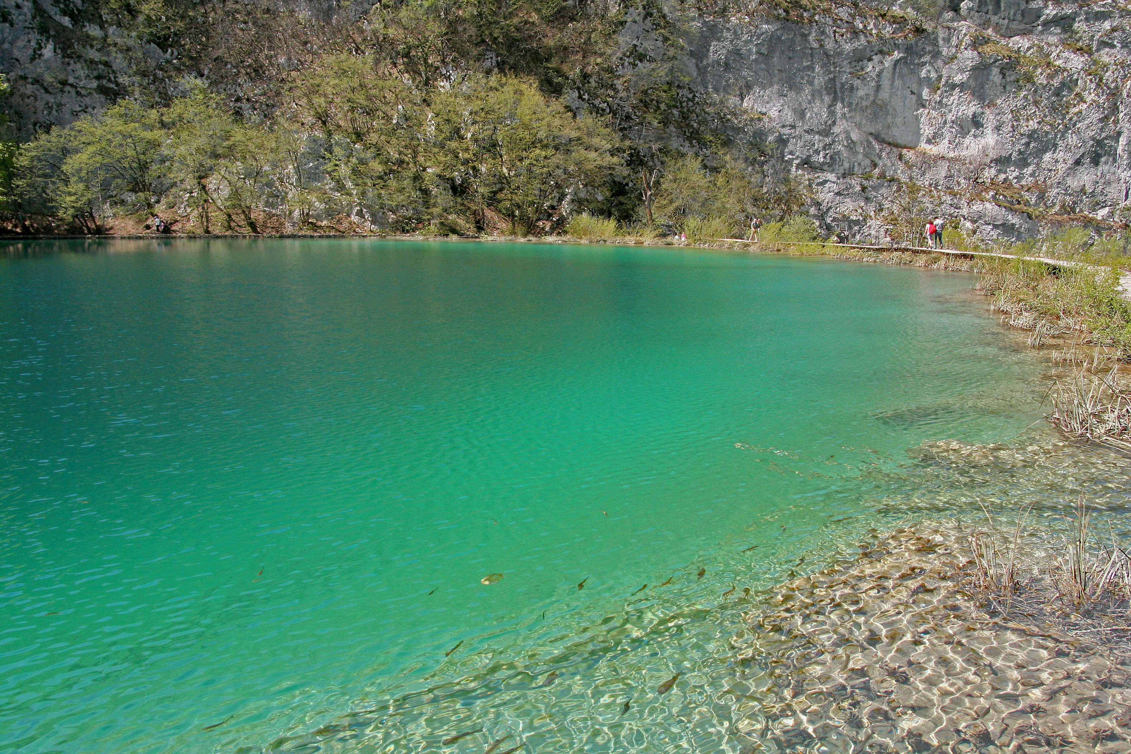 Beau lac turquoise avec des rochers environnants