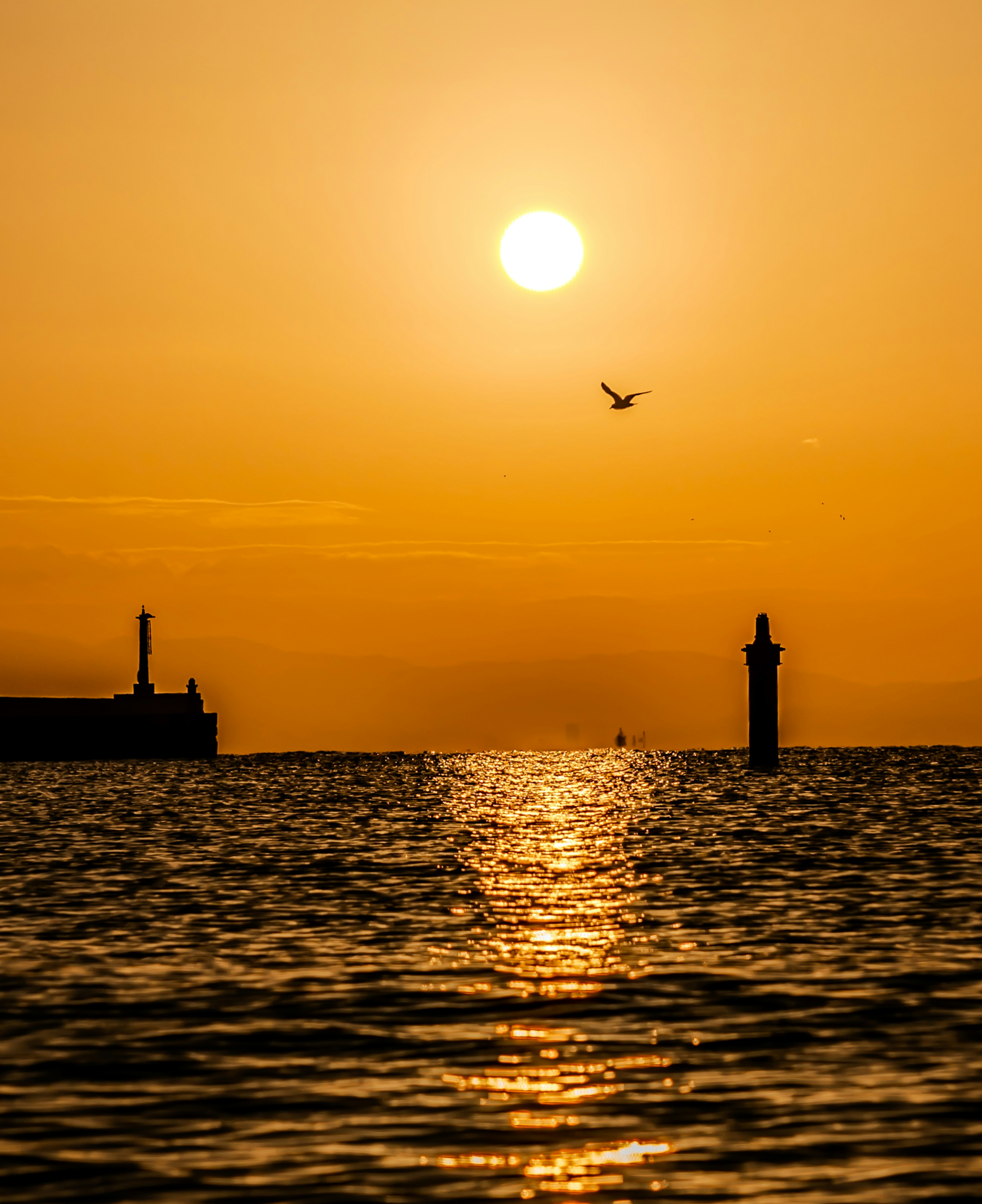 Bellissimo paesaggio marino con il tramonto che si riflette sull'acqua, un faro e un uccello