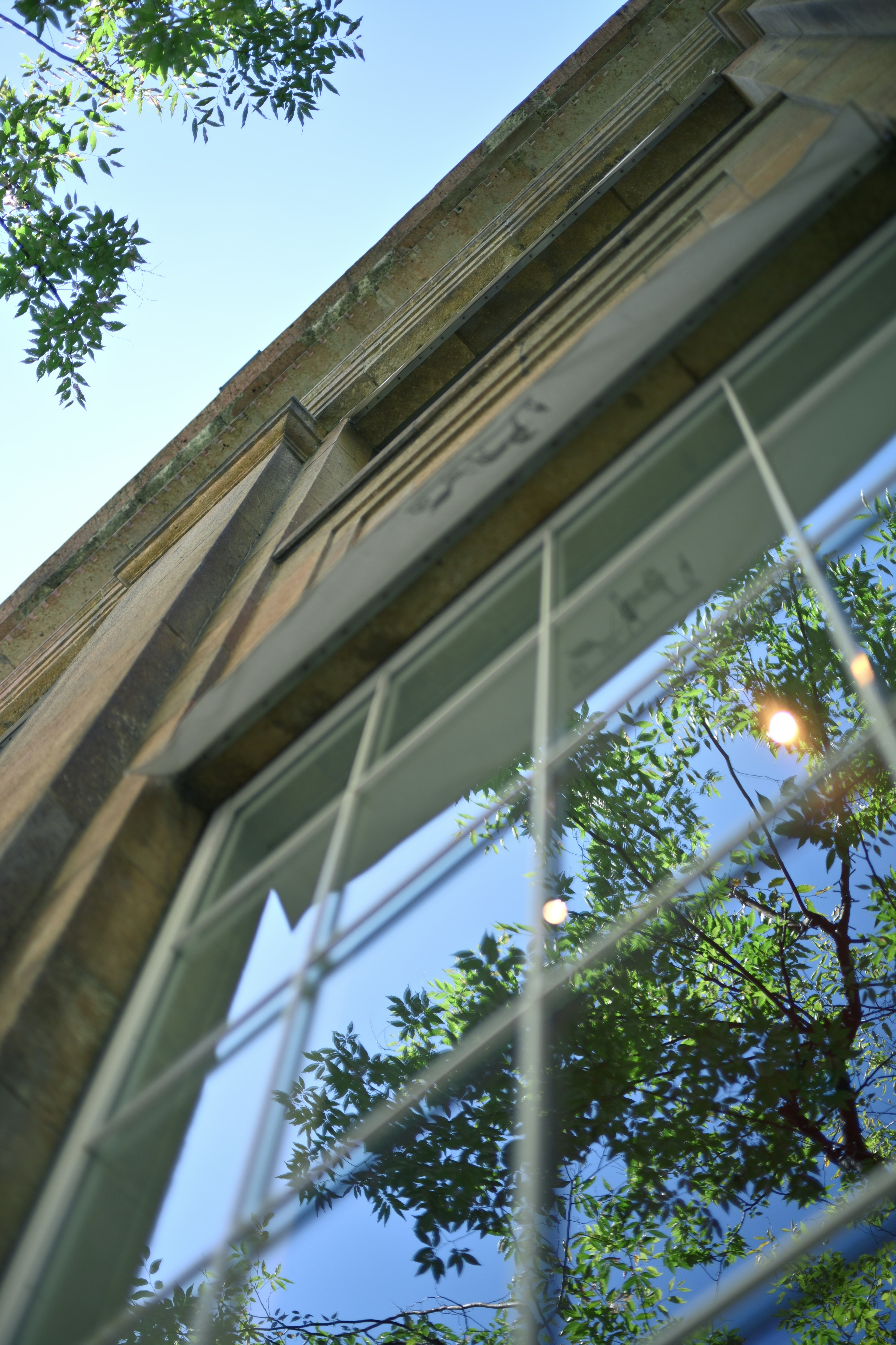 Exterior view of a window reflecting blue sky and trees