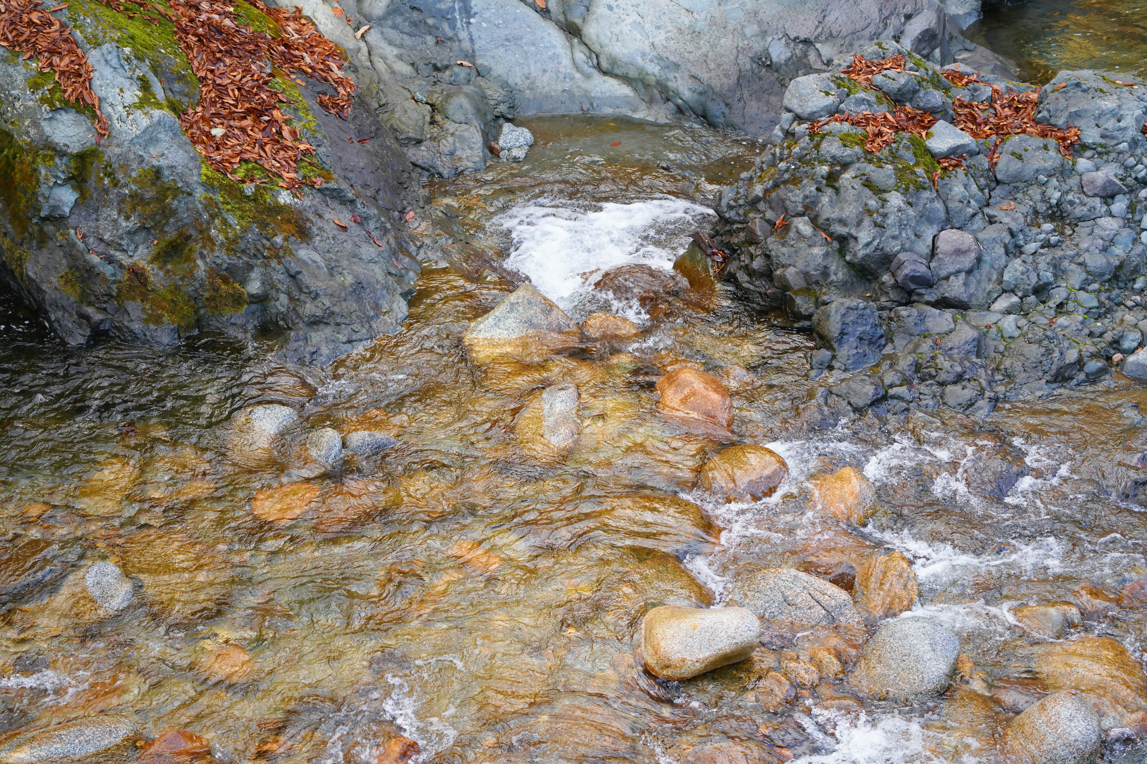 Stream flowing over smooth stones with scattered leaves