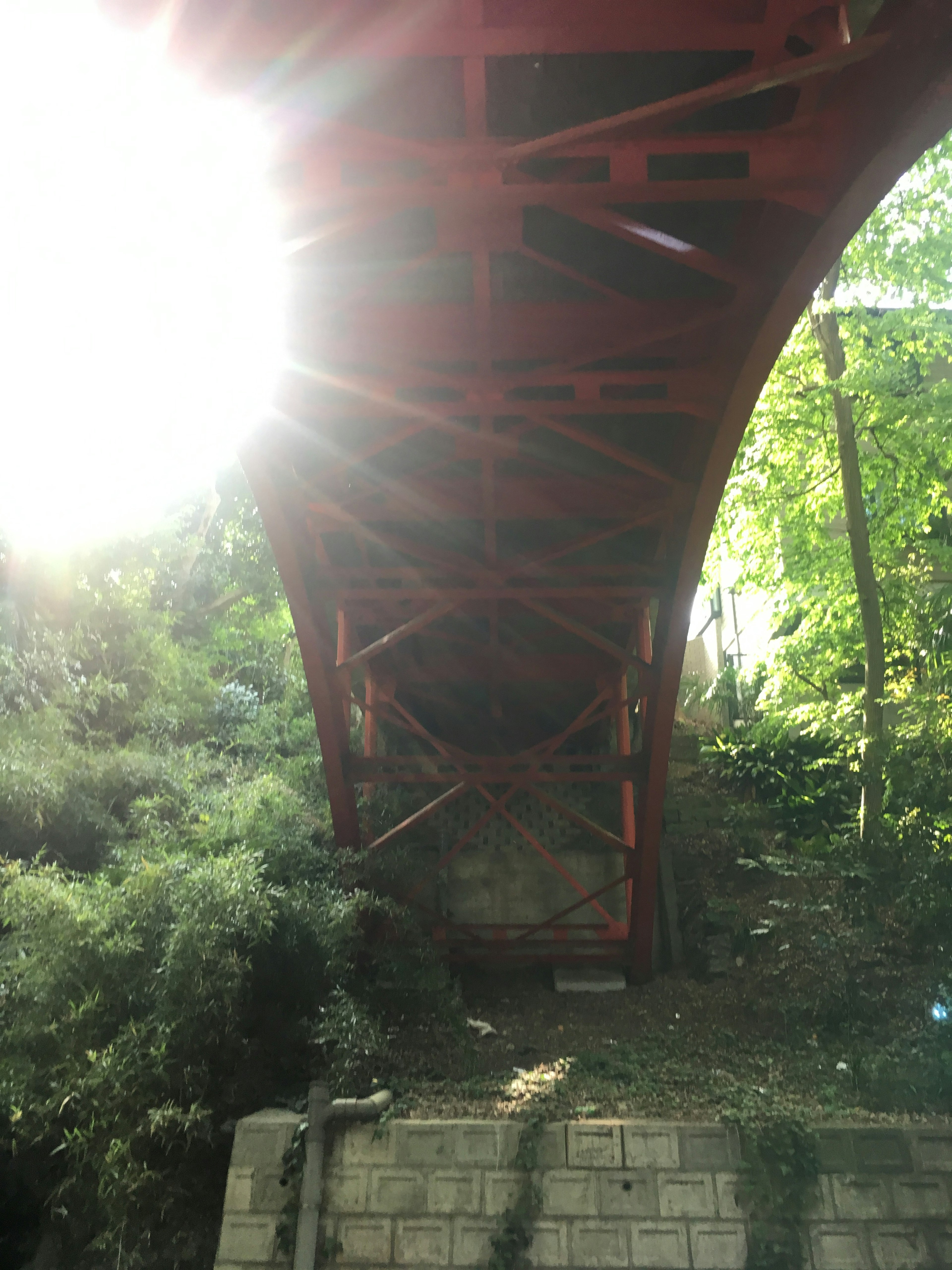 View from underneath a red bridge surrounded by greenery with sunlight shining through