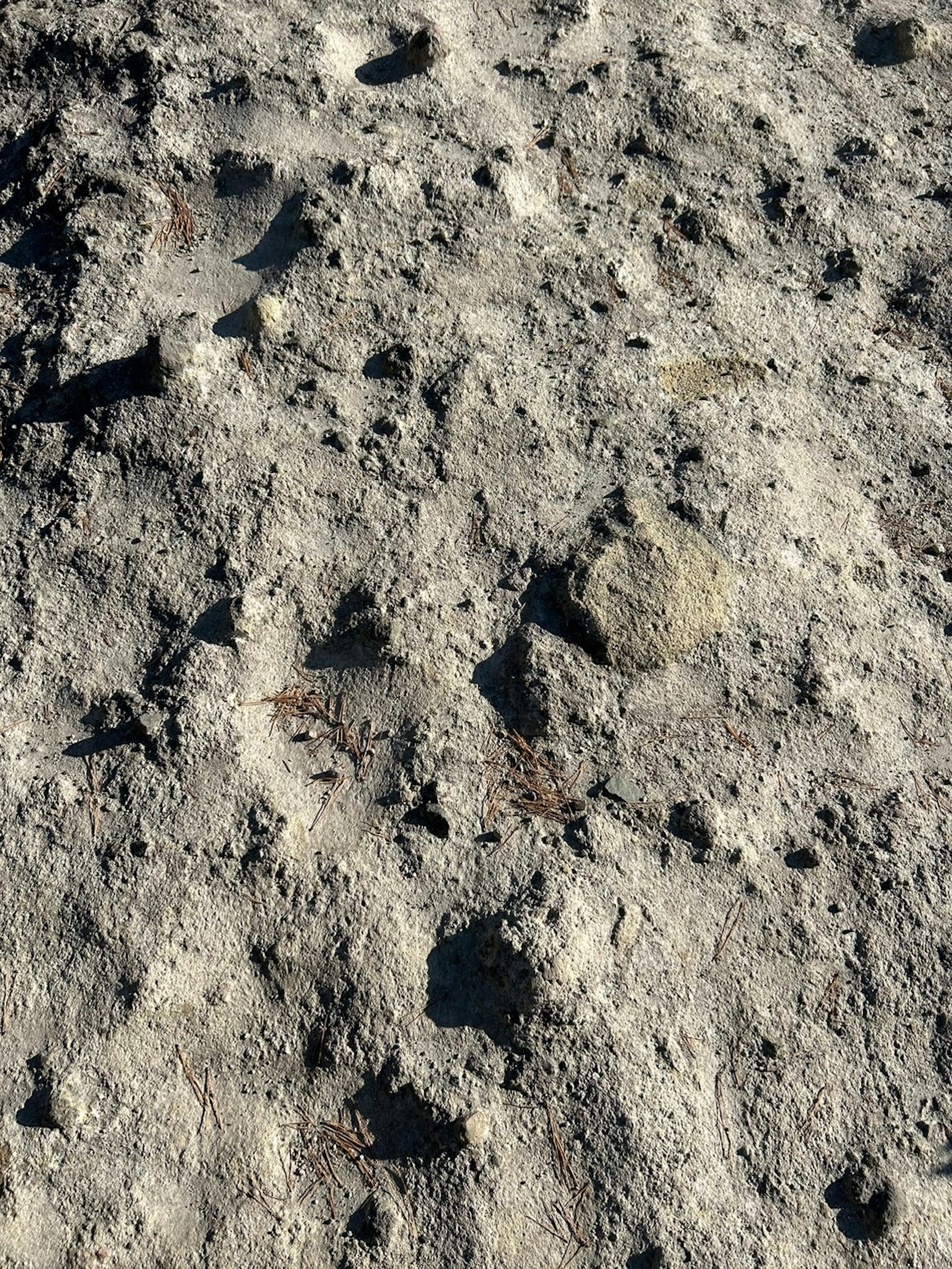 Raues Gelände mit verstreuten Steinen