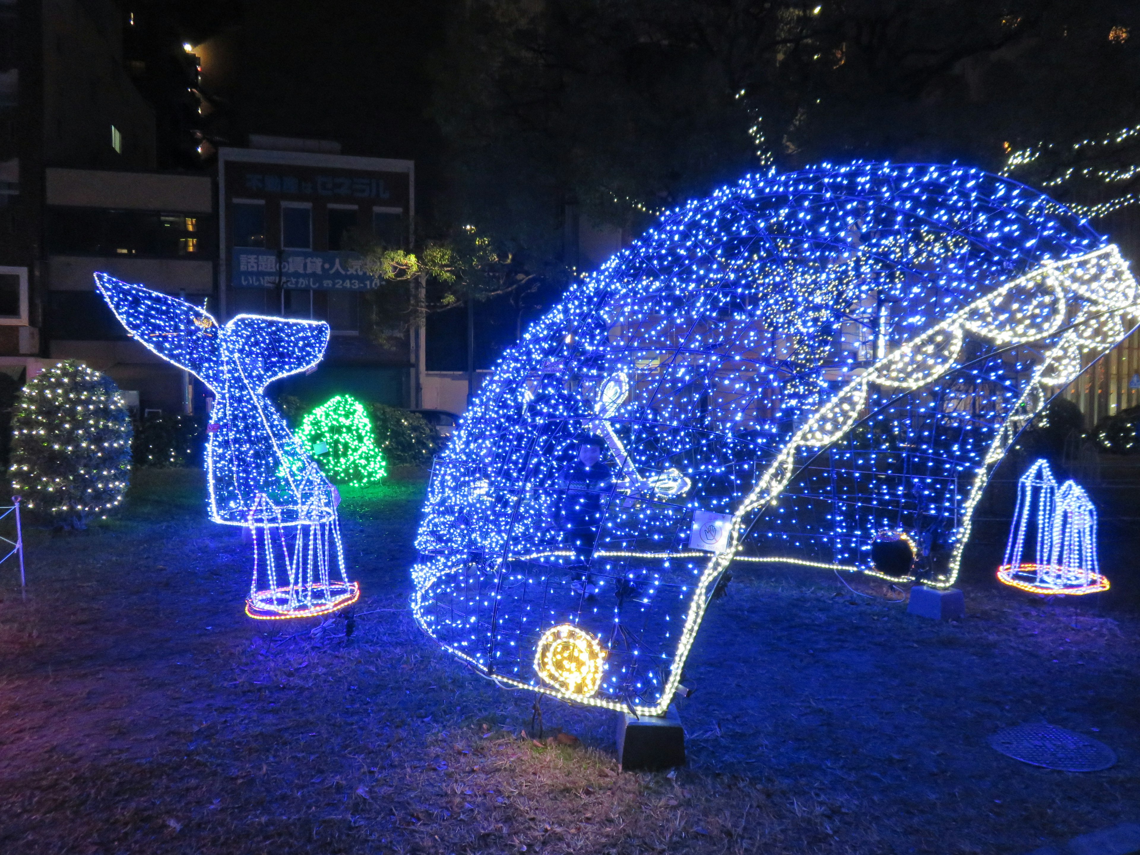 Night park scene with blue illuminated decorations shaped like animals