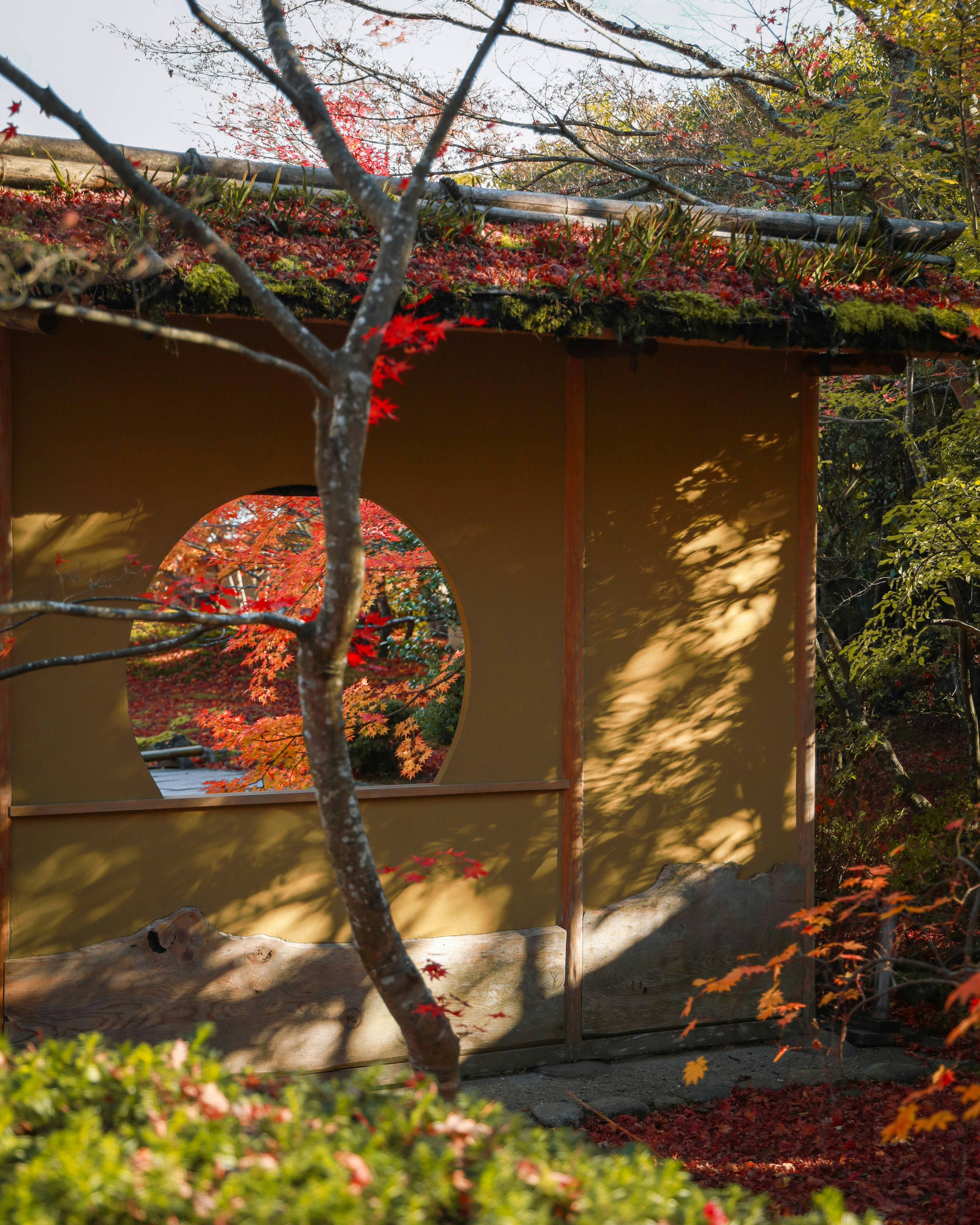 Traditional Japanese building with a circular window reflecting autumn foliage