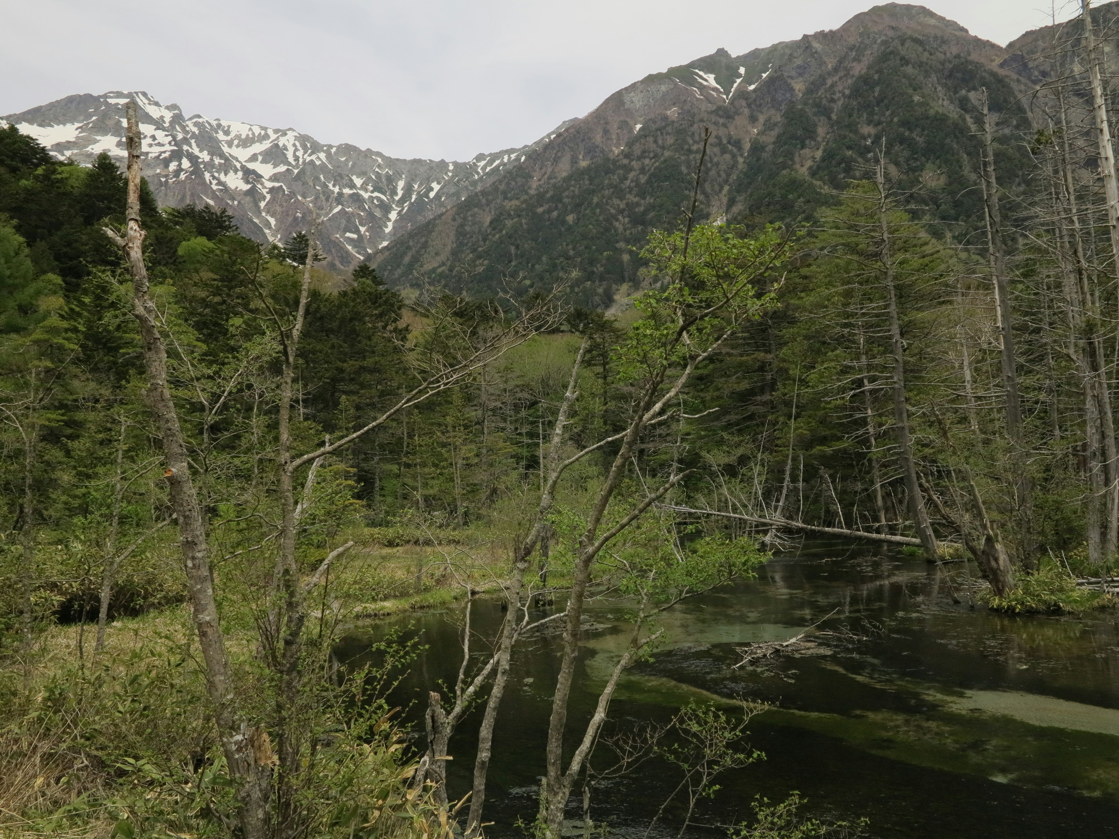 Montagnes enneigées entourant un étang tranquille avec des arbres verts