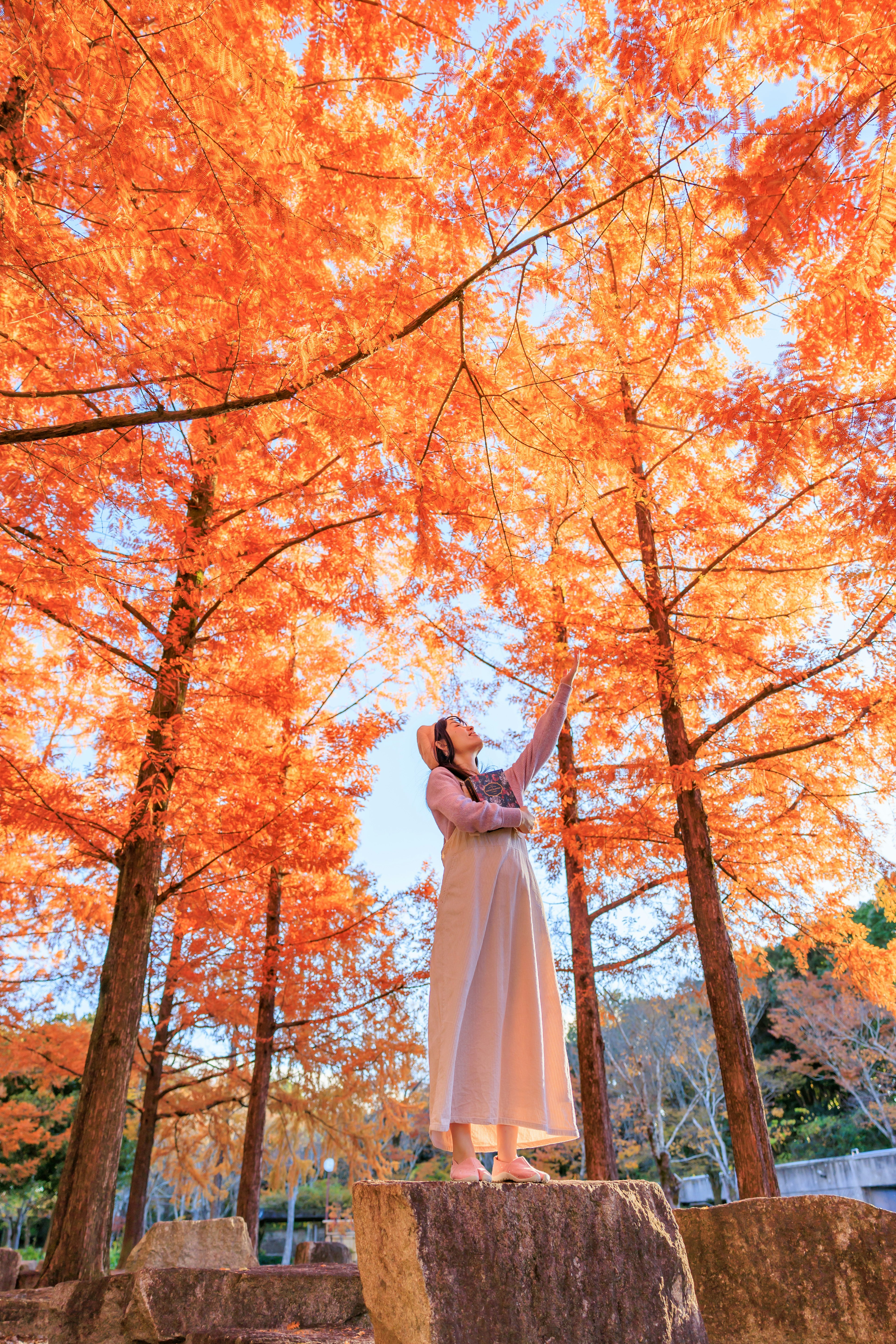 Woman admiring trees with vibrant orange leaves