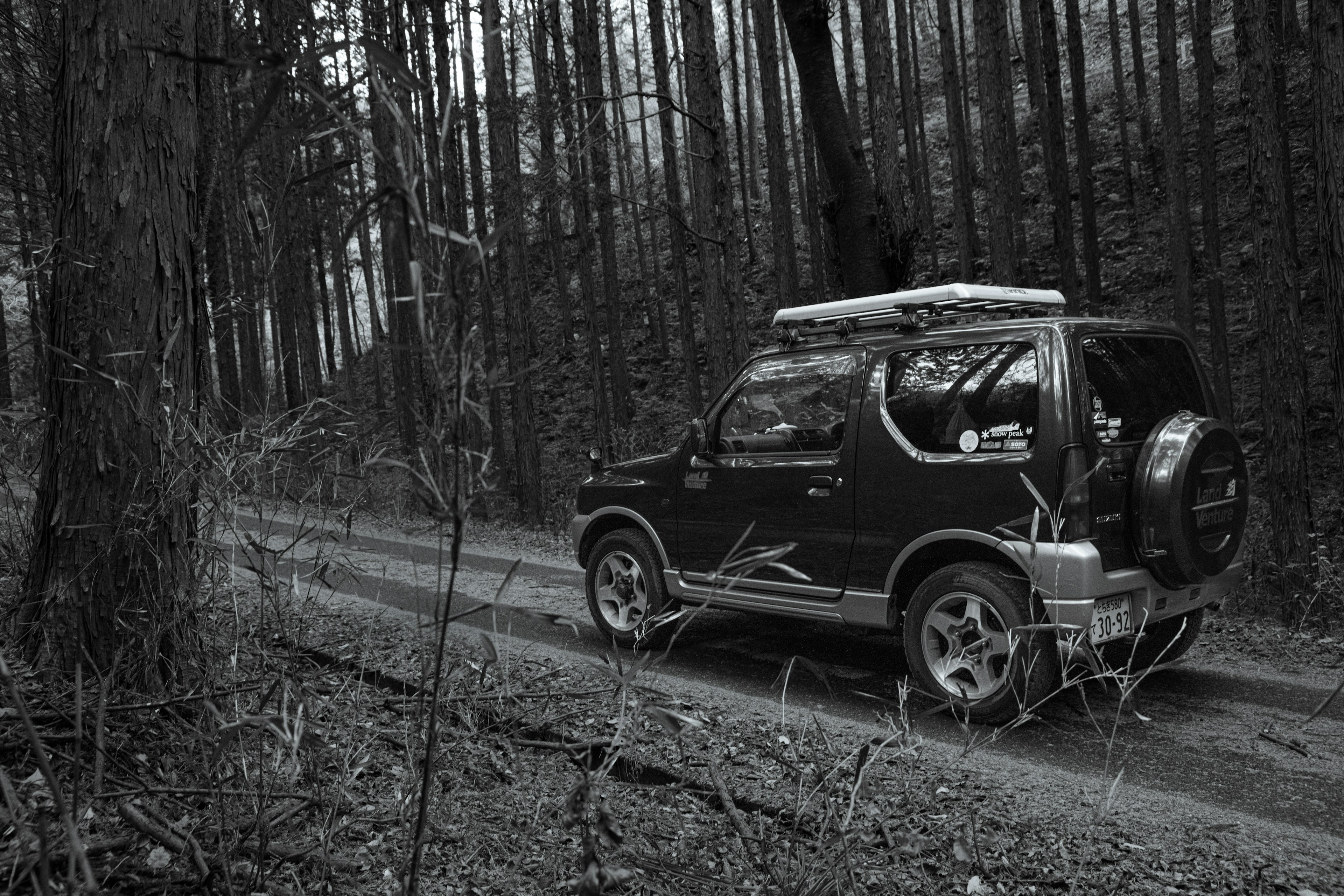 SUV noir roulant sur une route forestière