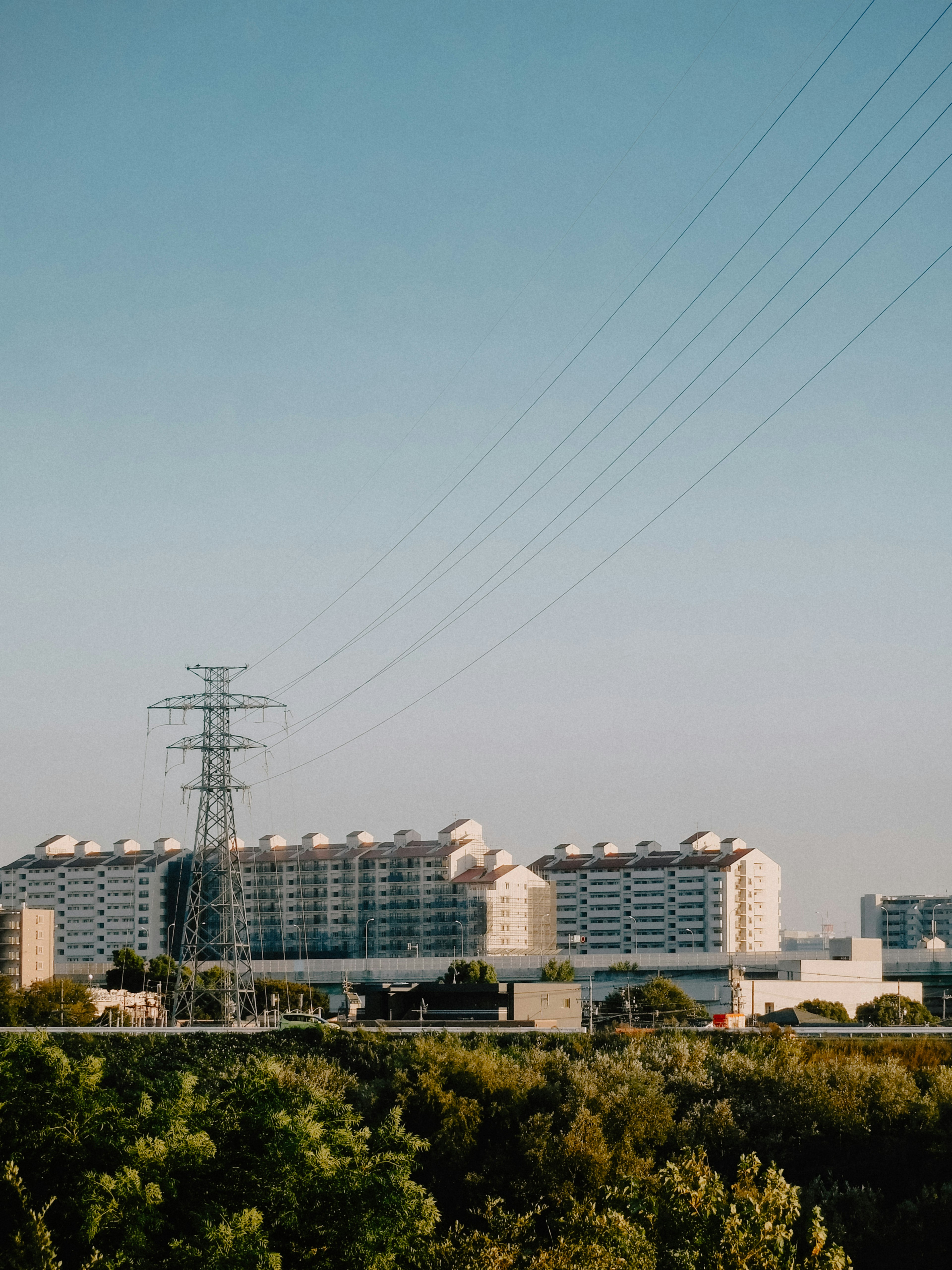 青空の下に広がる建物群と電柱が見える風景