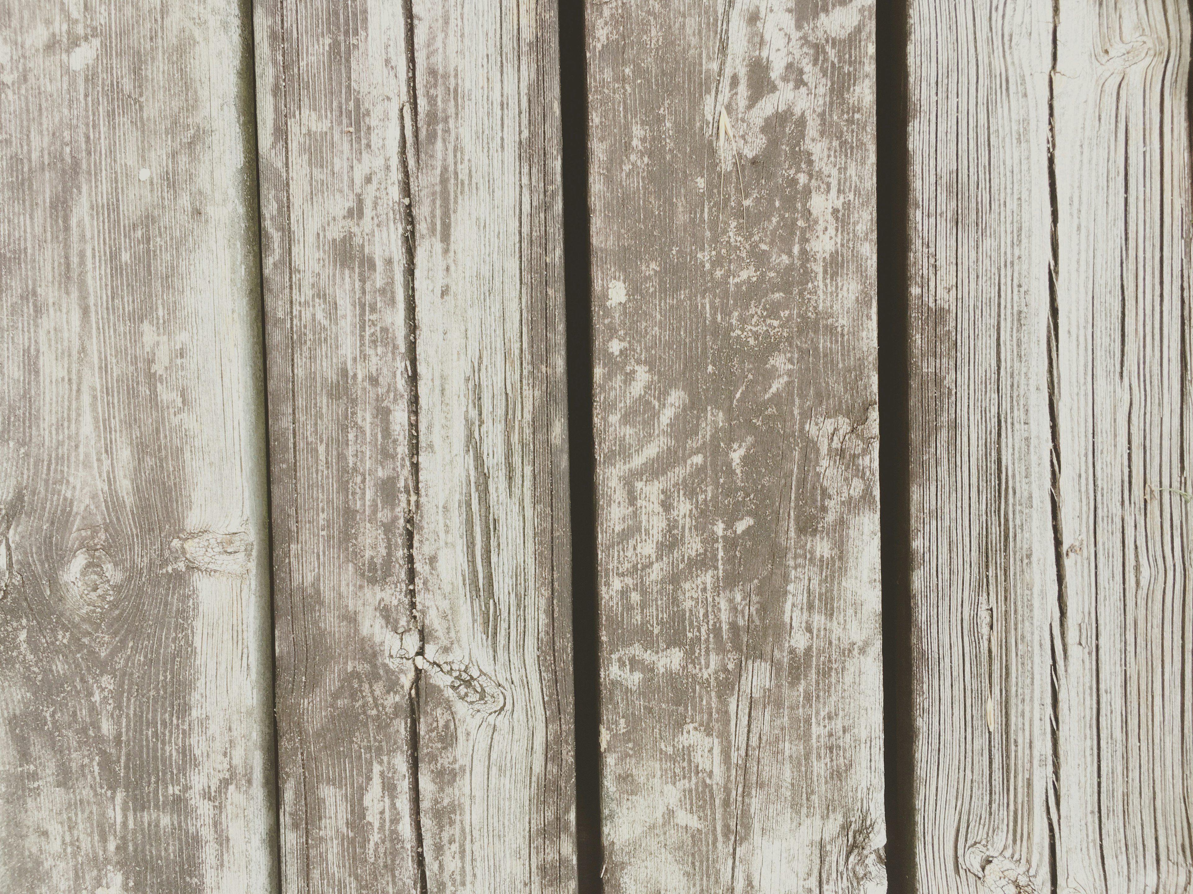 Textured surface of weathered wooden planks in light tones