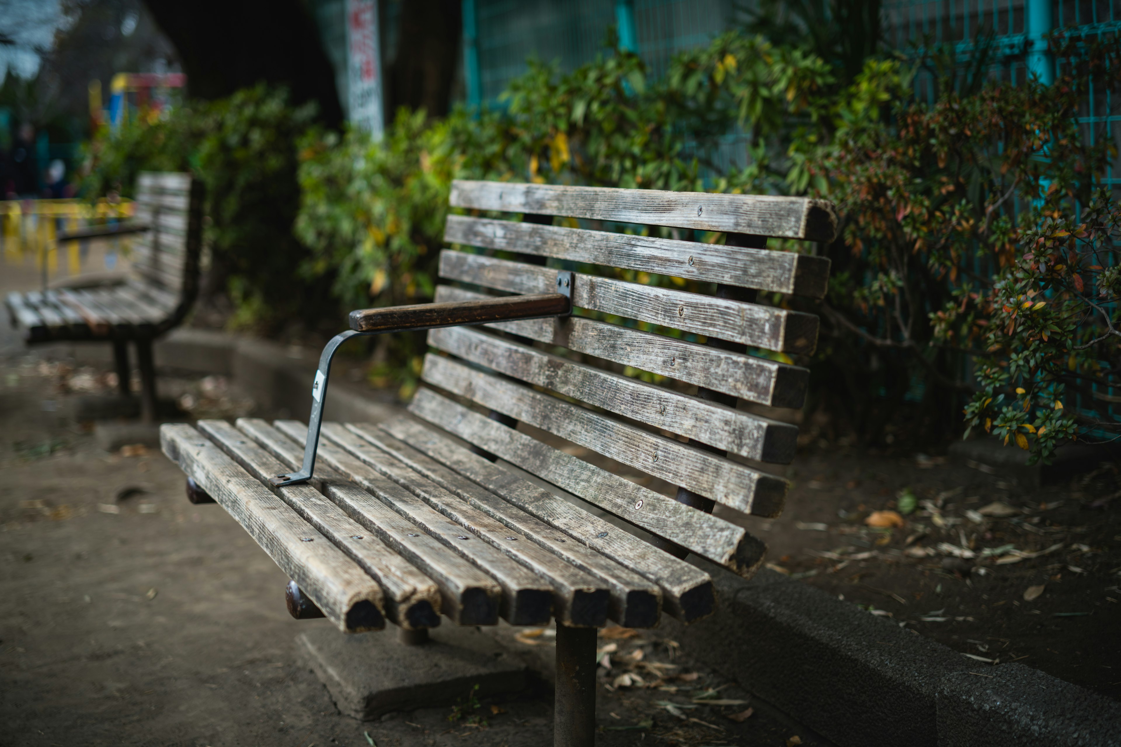 Park bench with weathered wooden slats and surrounding greenery