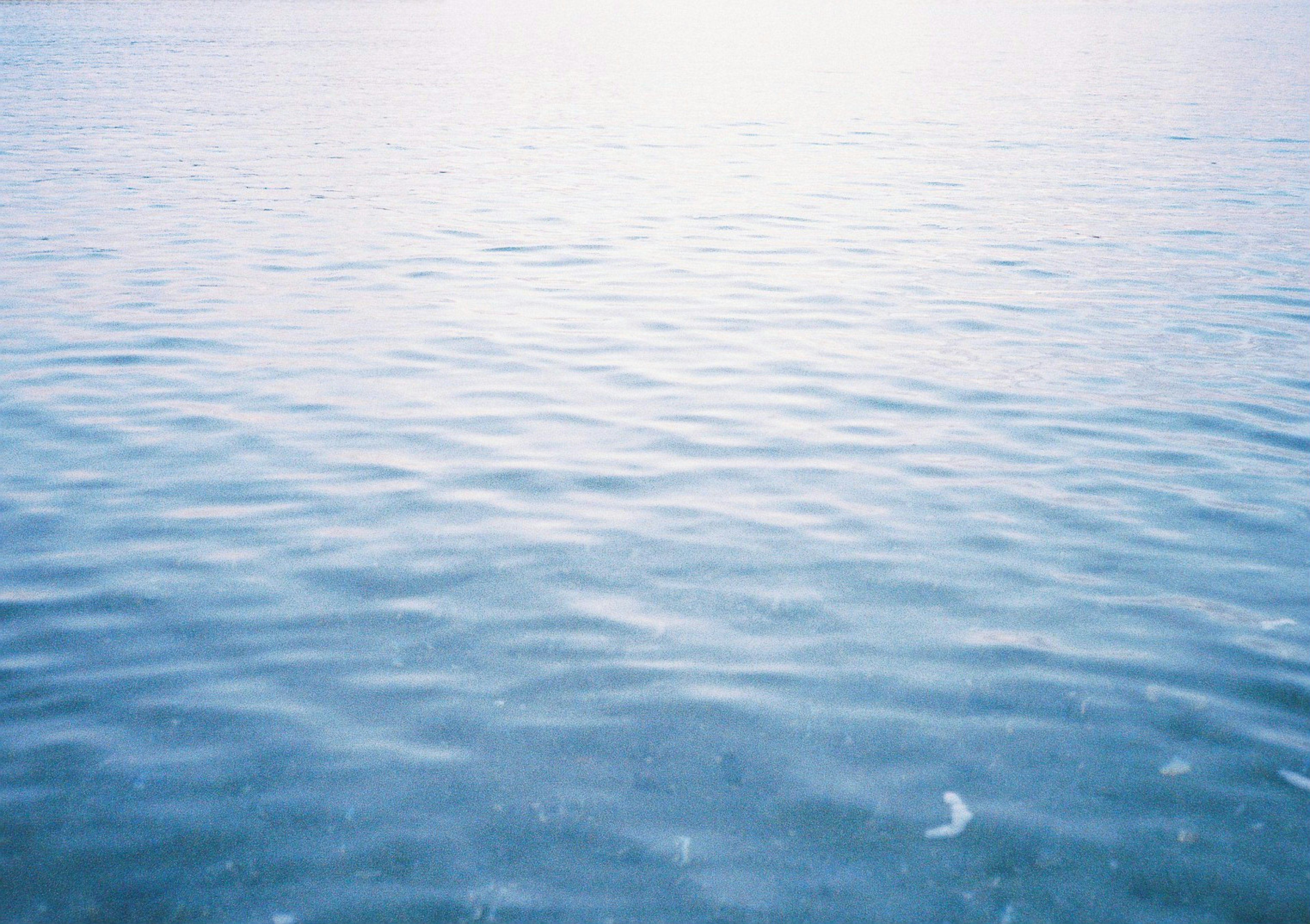 Calm blue sea surface with gentle ripples