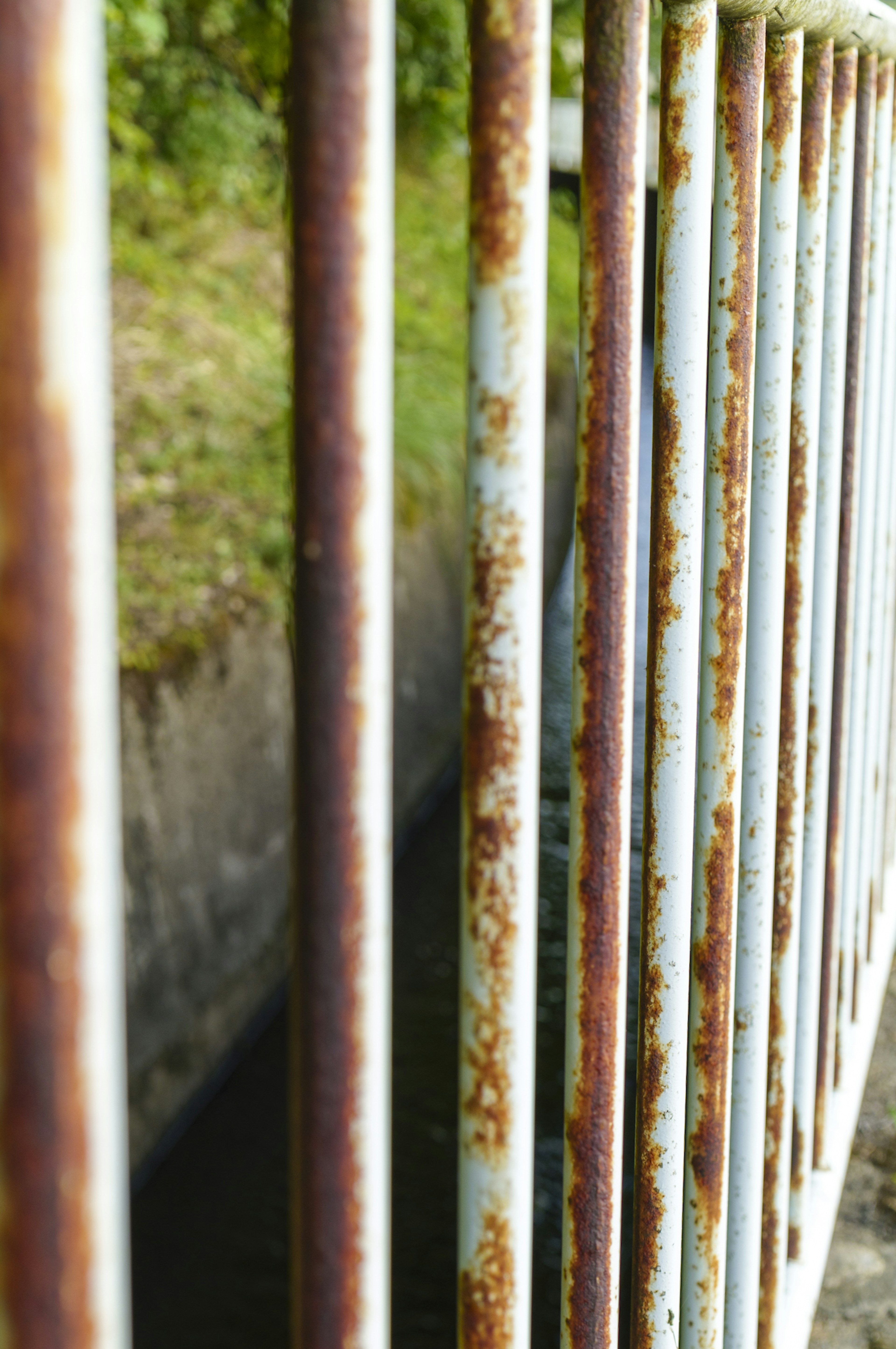 Image of a rusty metal fence with a green background