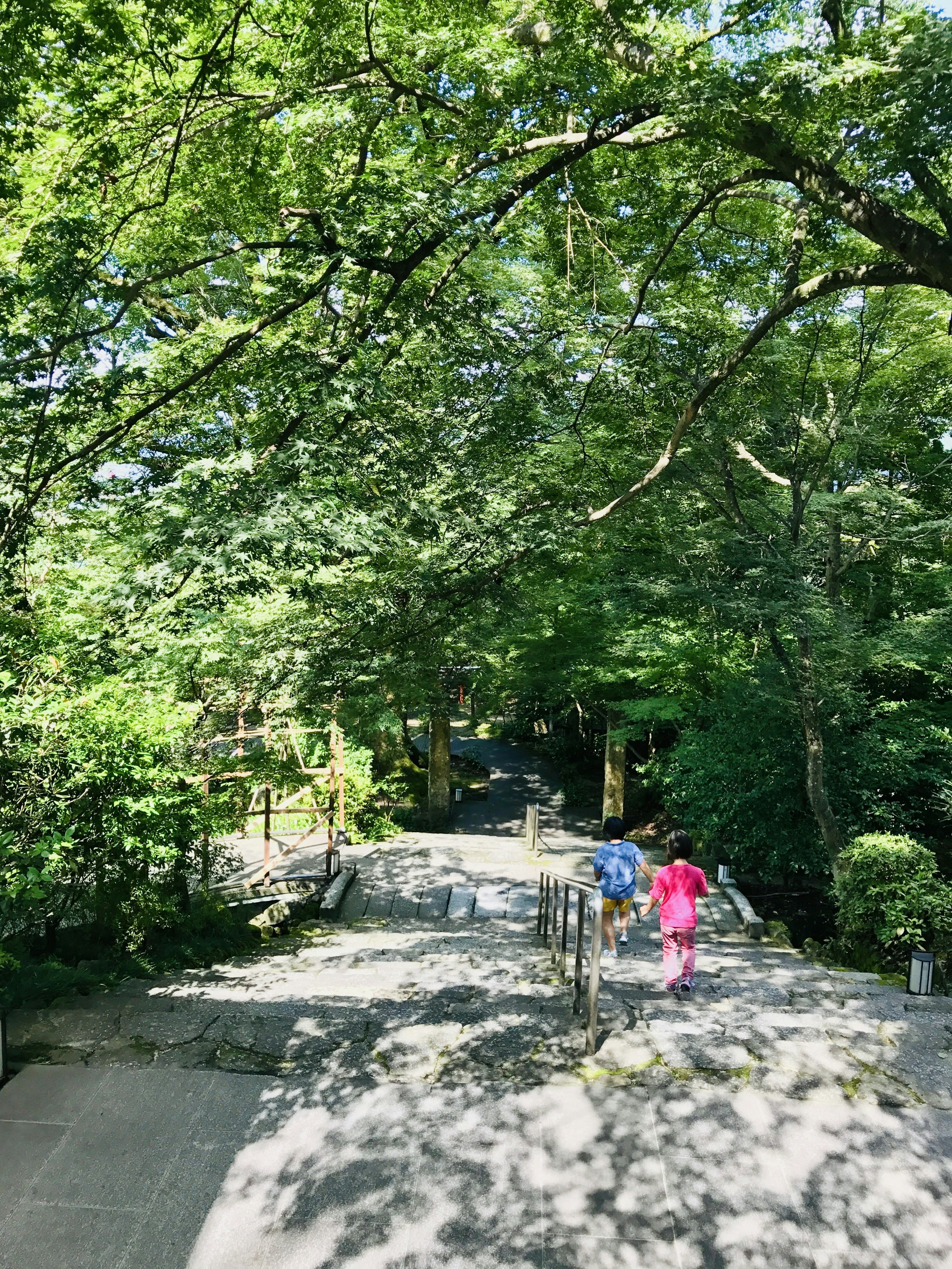 Two people walking on a stone-paved path surrounded by lush green trees