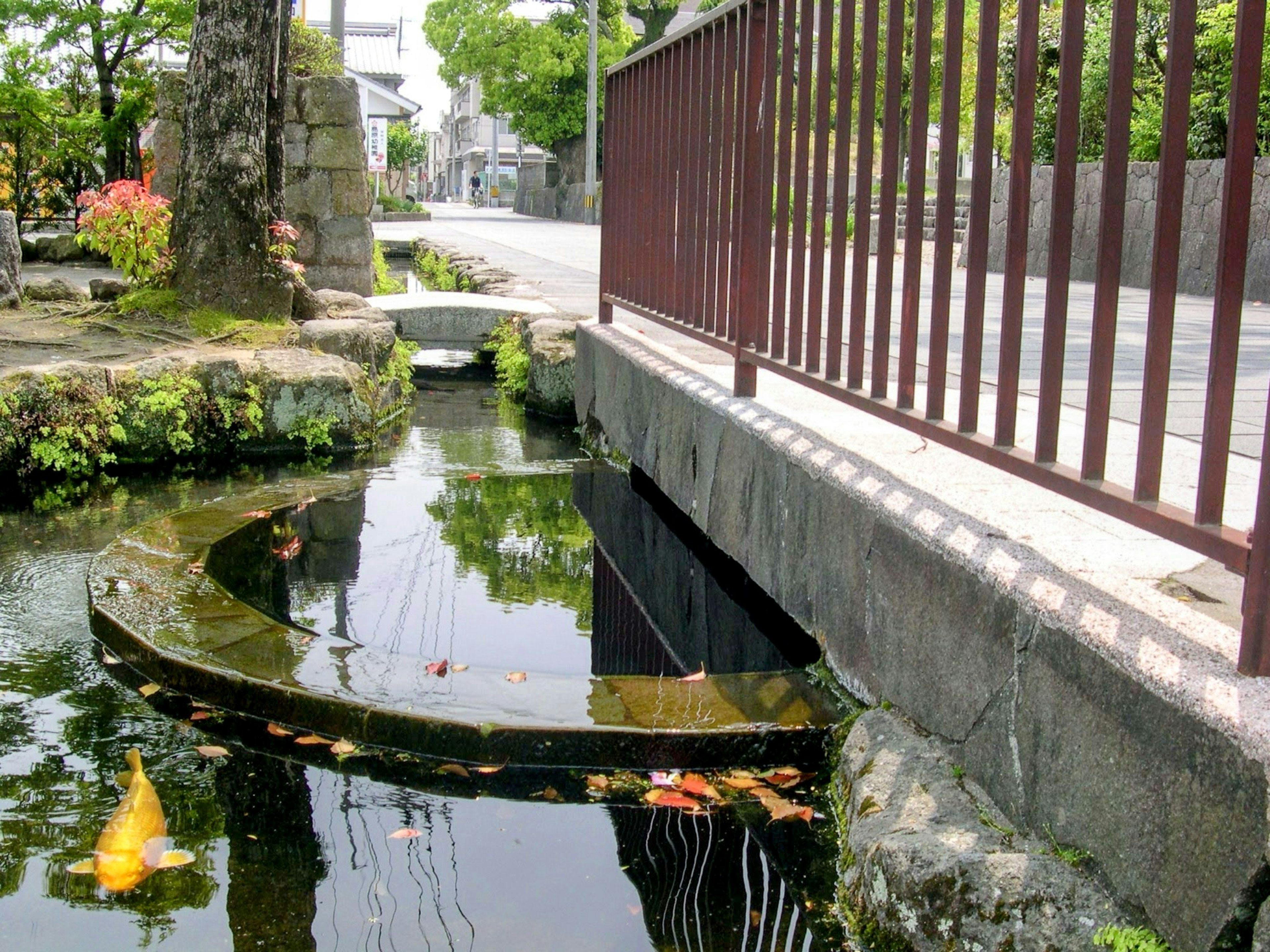 Uno stagno sereno con pesci koi e vegetazione circostante