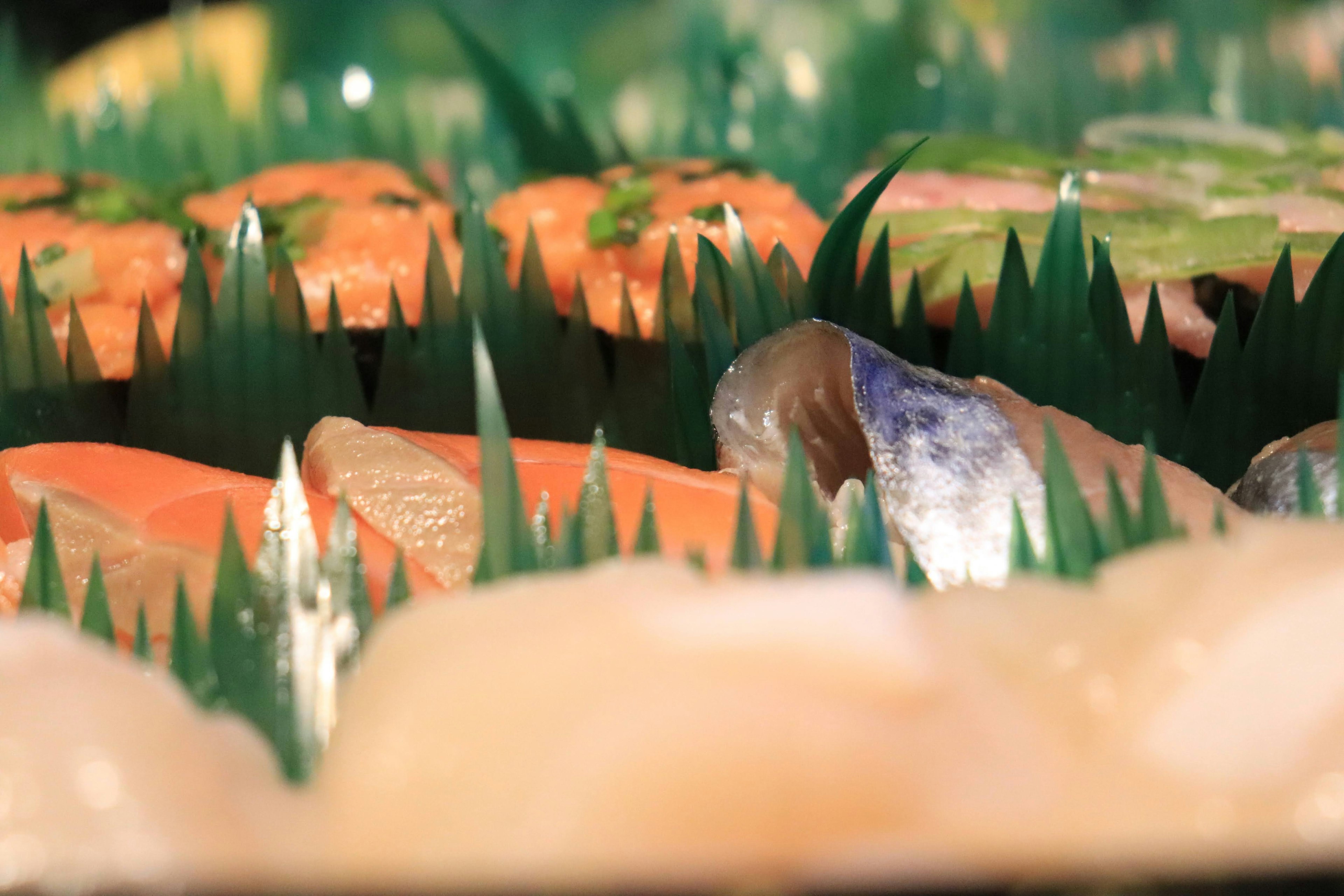 Colorful sushi arranged on green grass-like garnishes