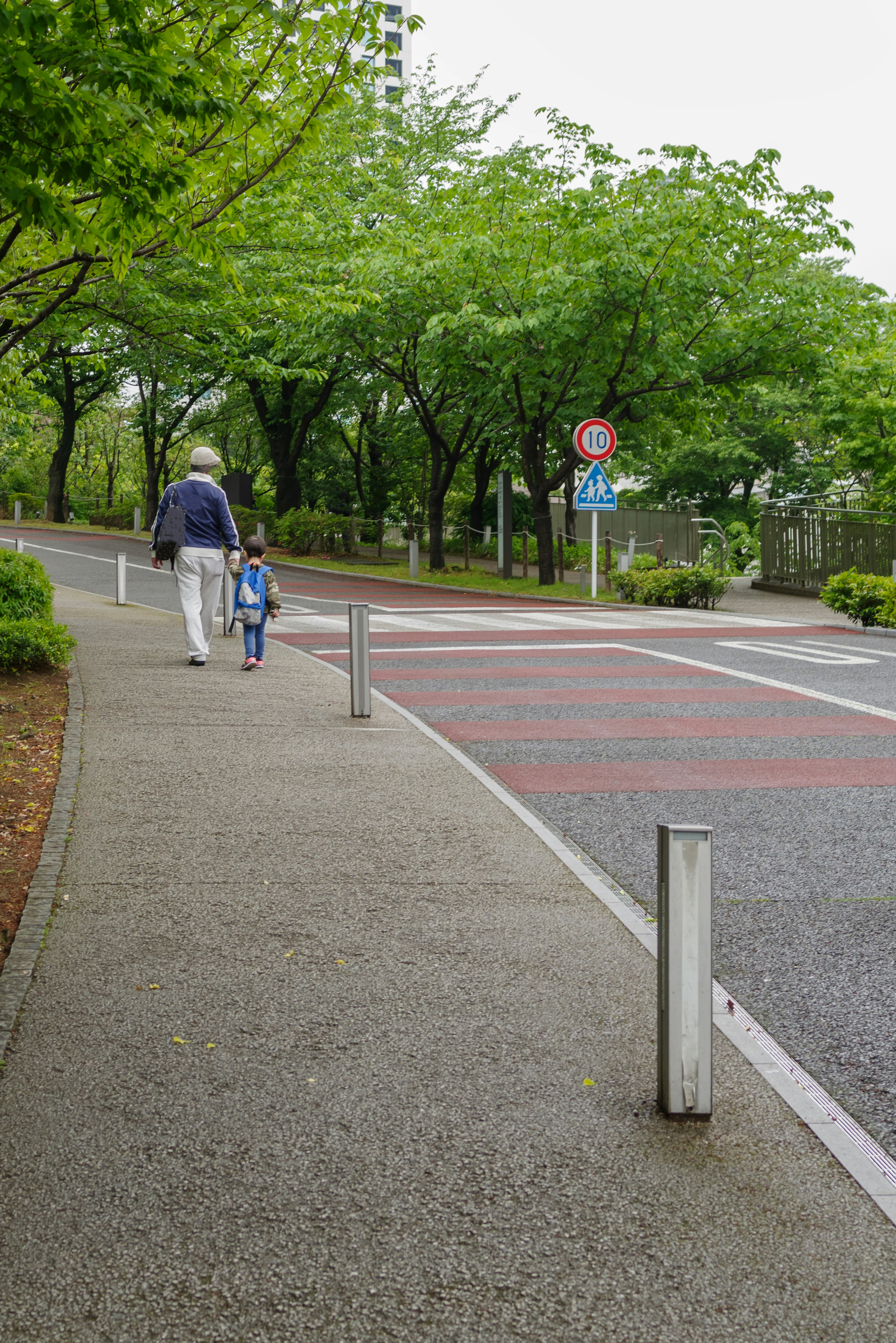 緑の木々に囲まれた歩道を歩く大人と子供