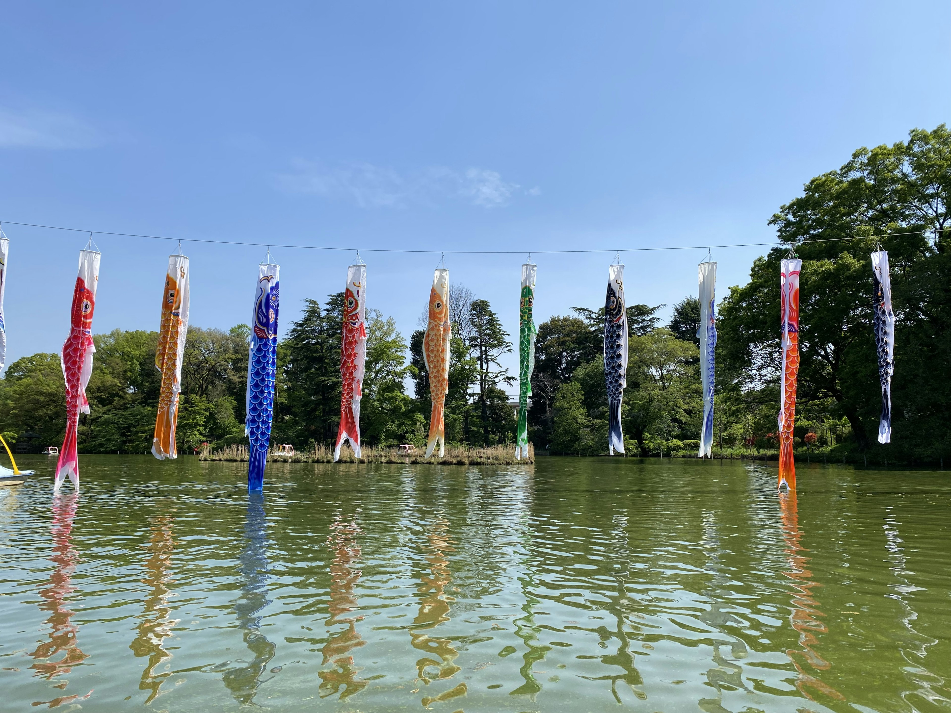 Colorful koi nobori hanging under a blue sky reflecting on the water