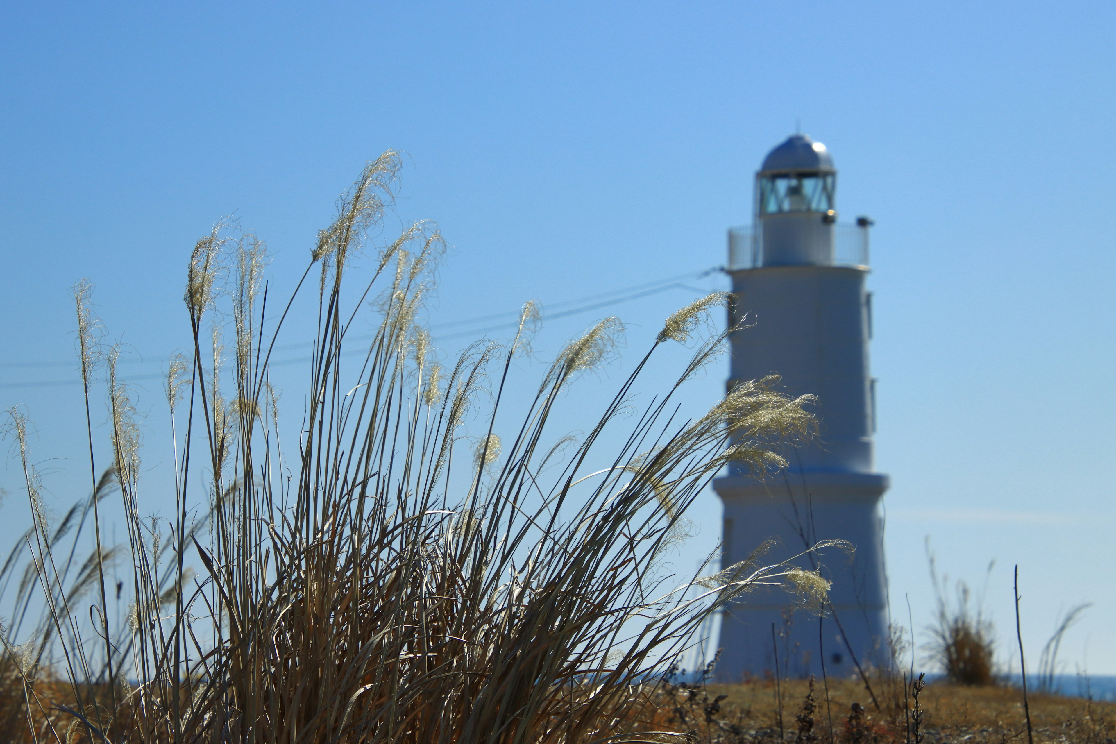 Un faro blanco bajo un cielo azul con hierba en primer plano