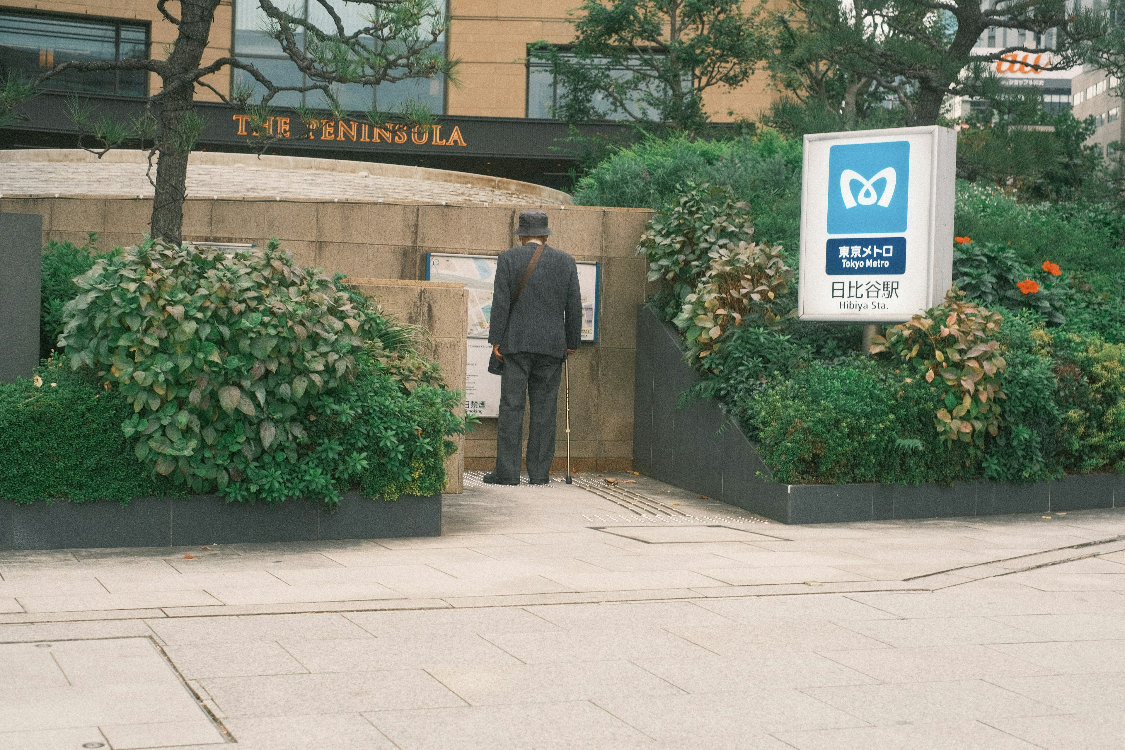 Businessman standing in front of greenery at a business building