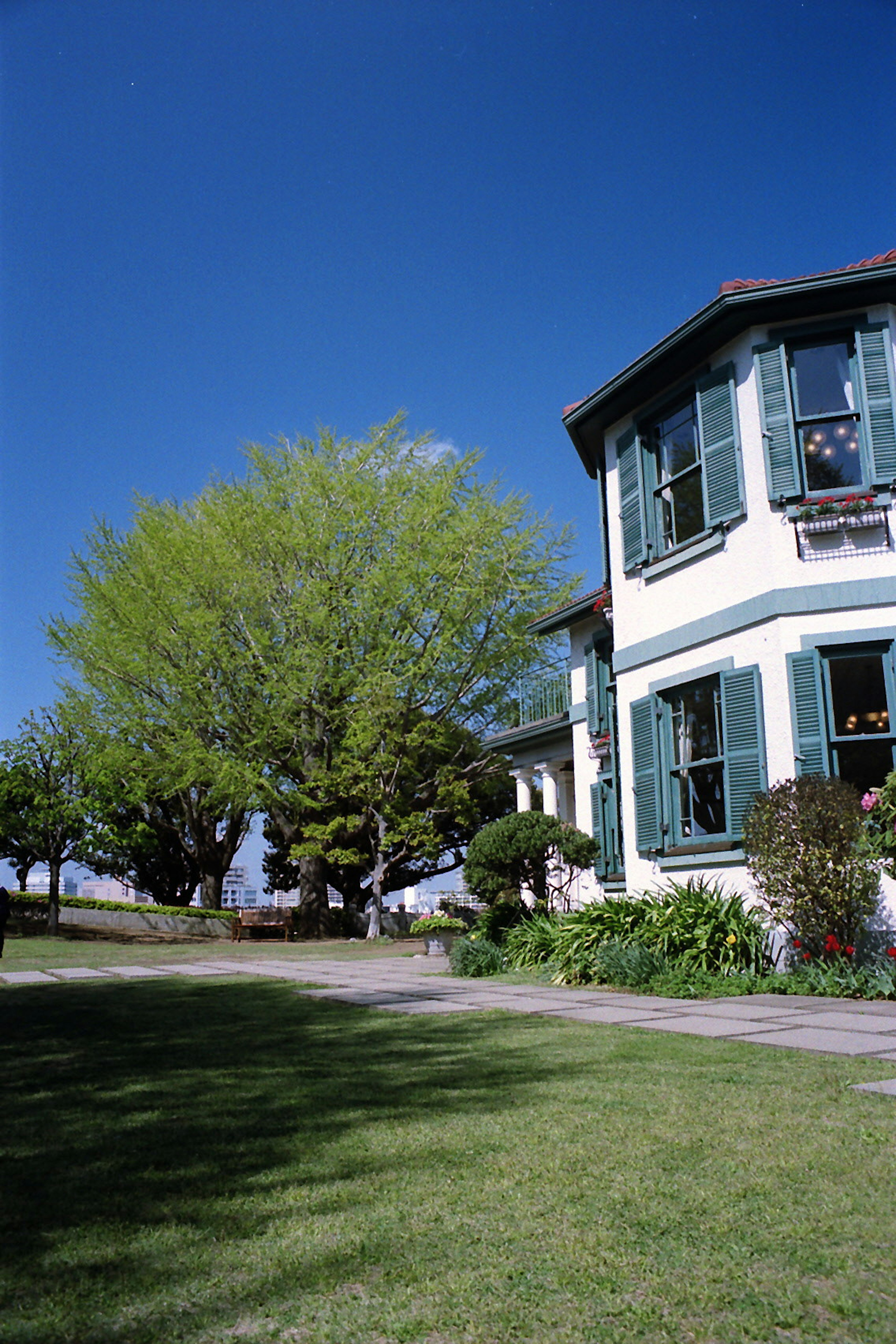 Maison blanche avec des volets verts et un grand arbre sous un ciel bleu