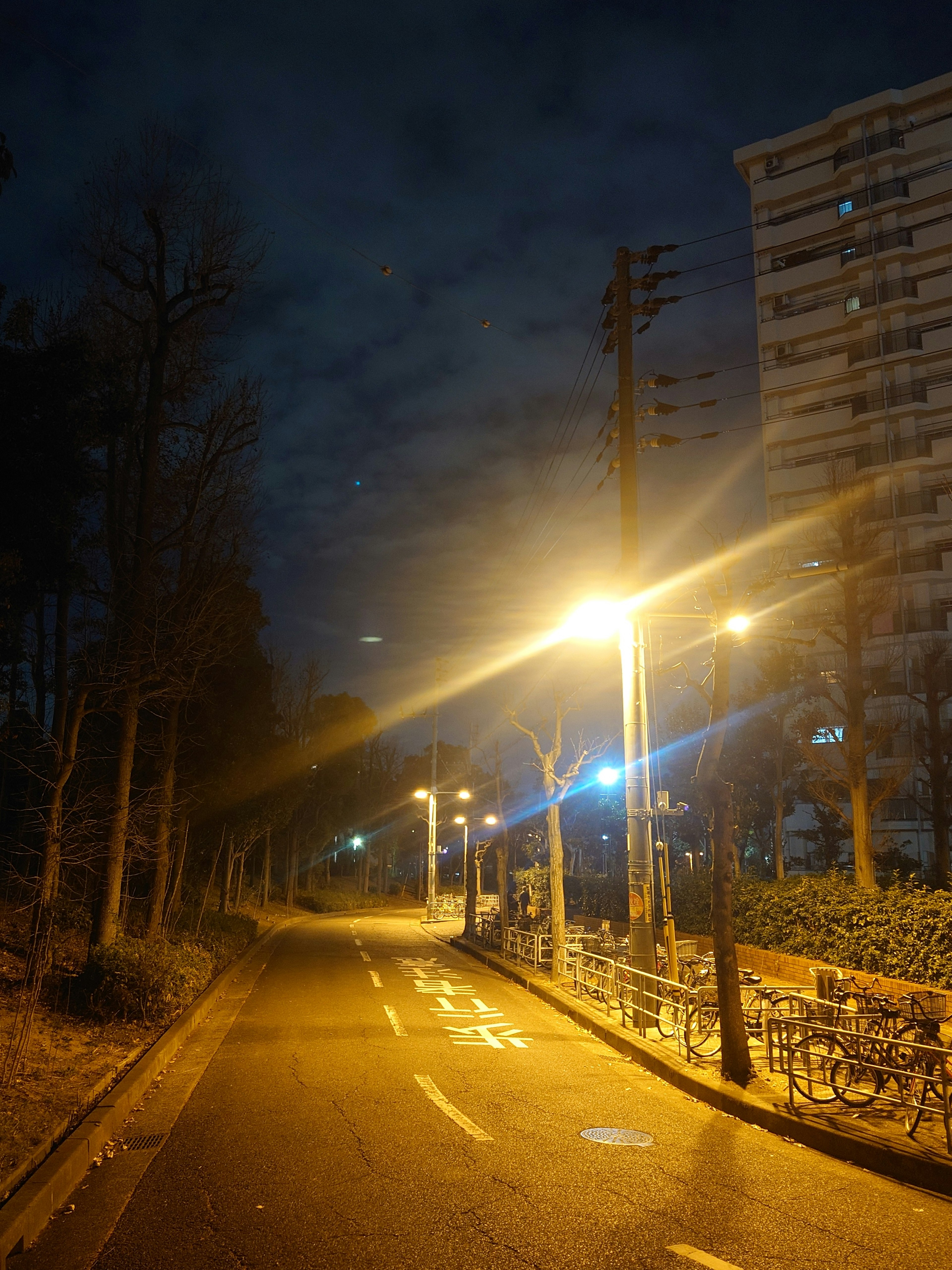 夜の街路灯が照らす静かな通りとビル