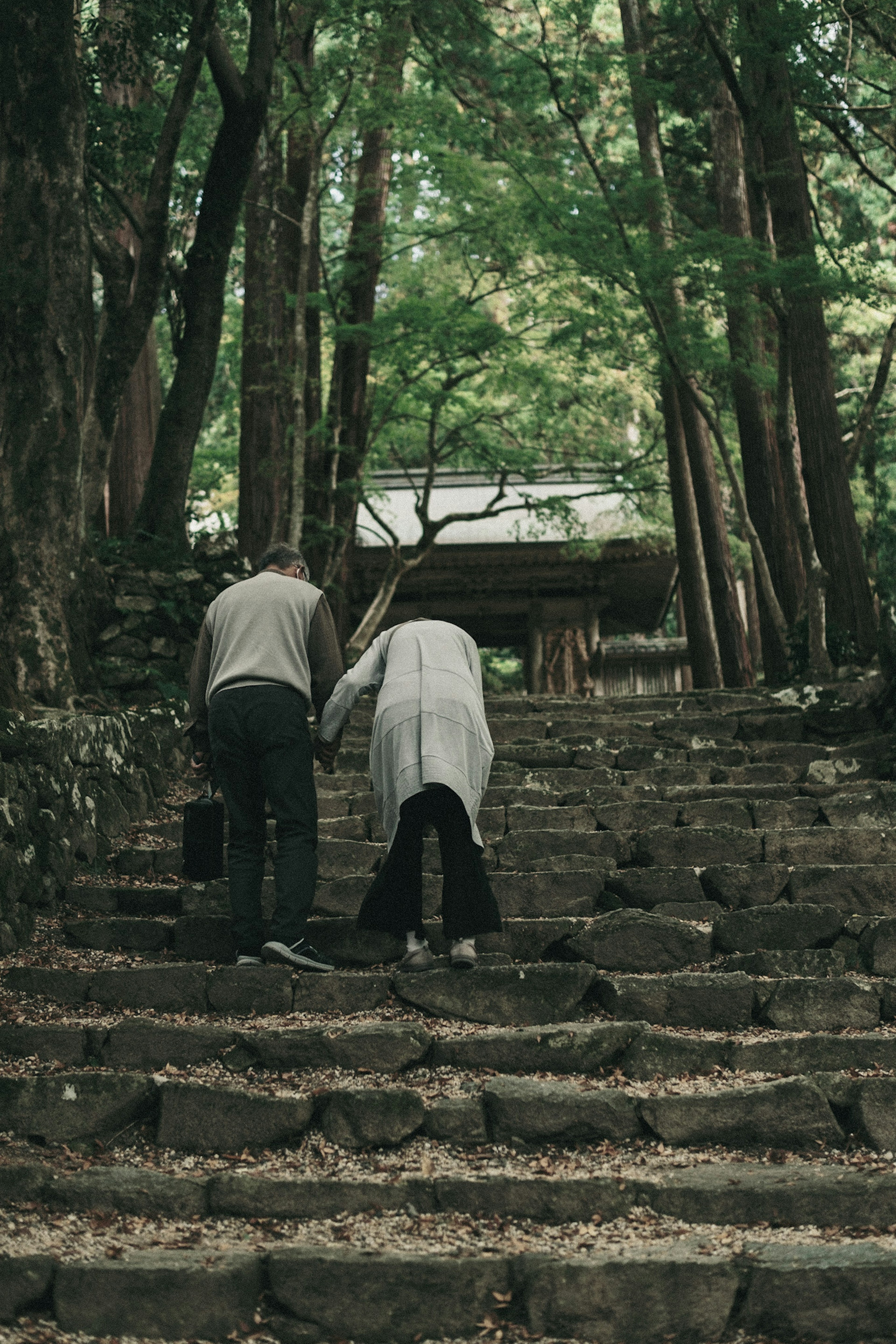 Two people ascending stone steps surrounded by green trees in a serene setting