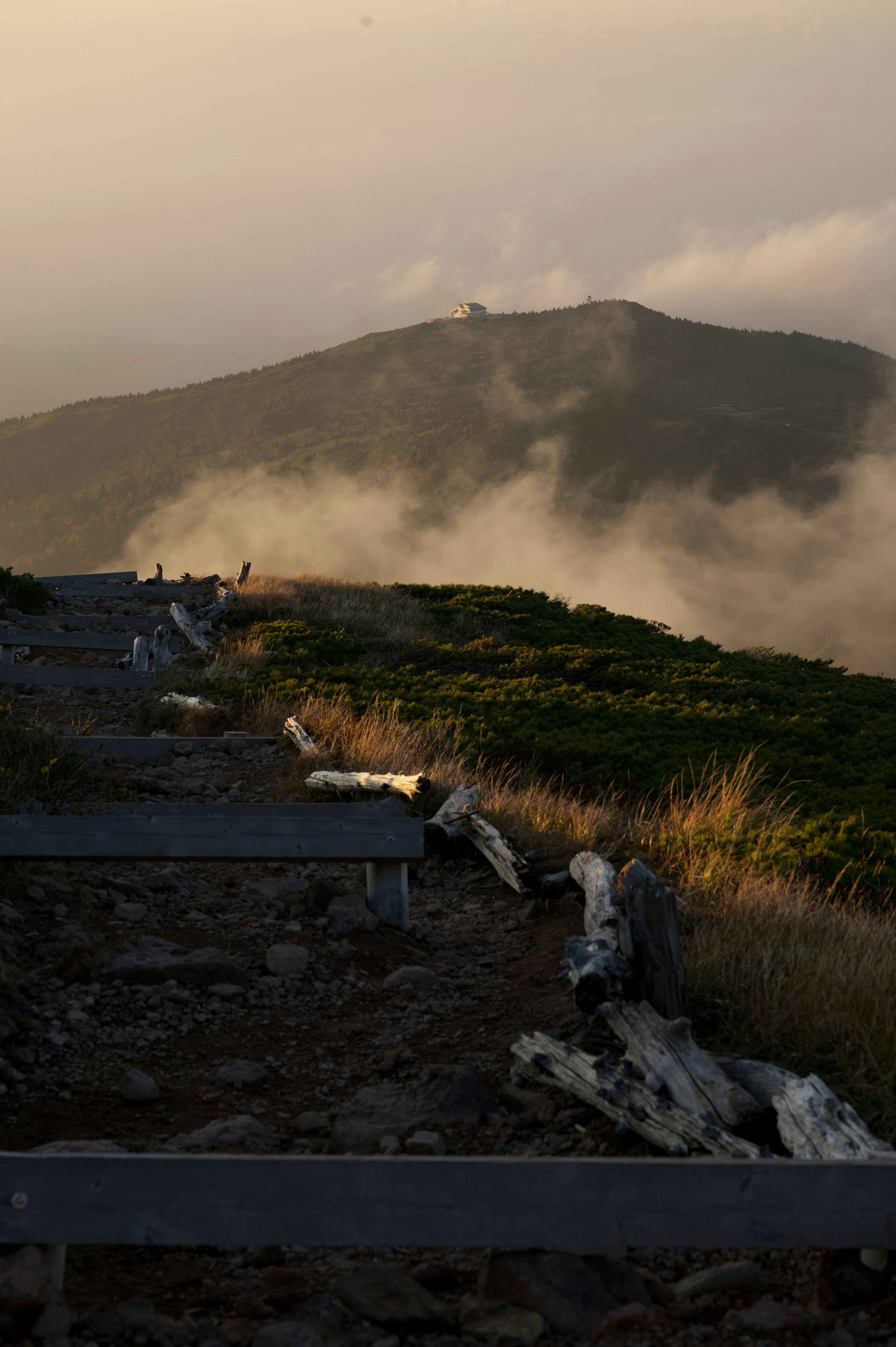 霧に包まれた山と木の幹が並ぶ小道の風景