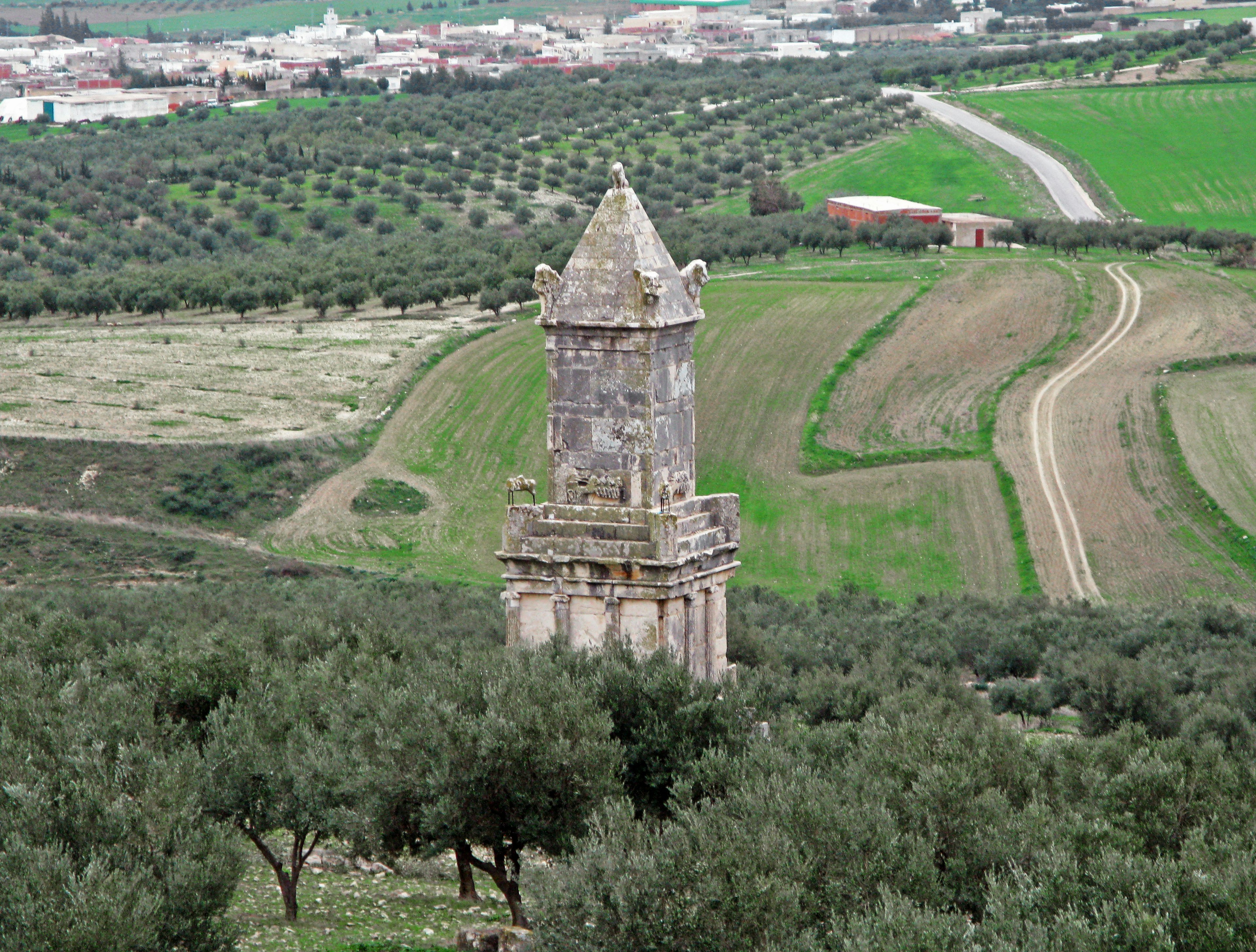 Old tower surrounded by olive trees and fields