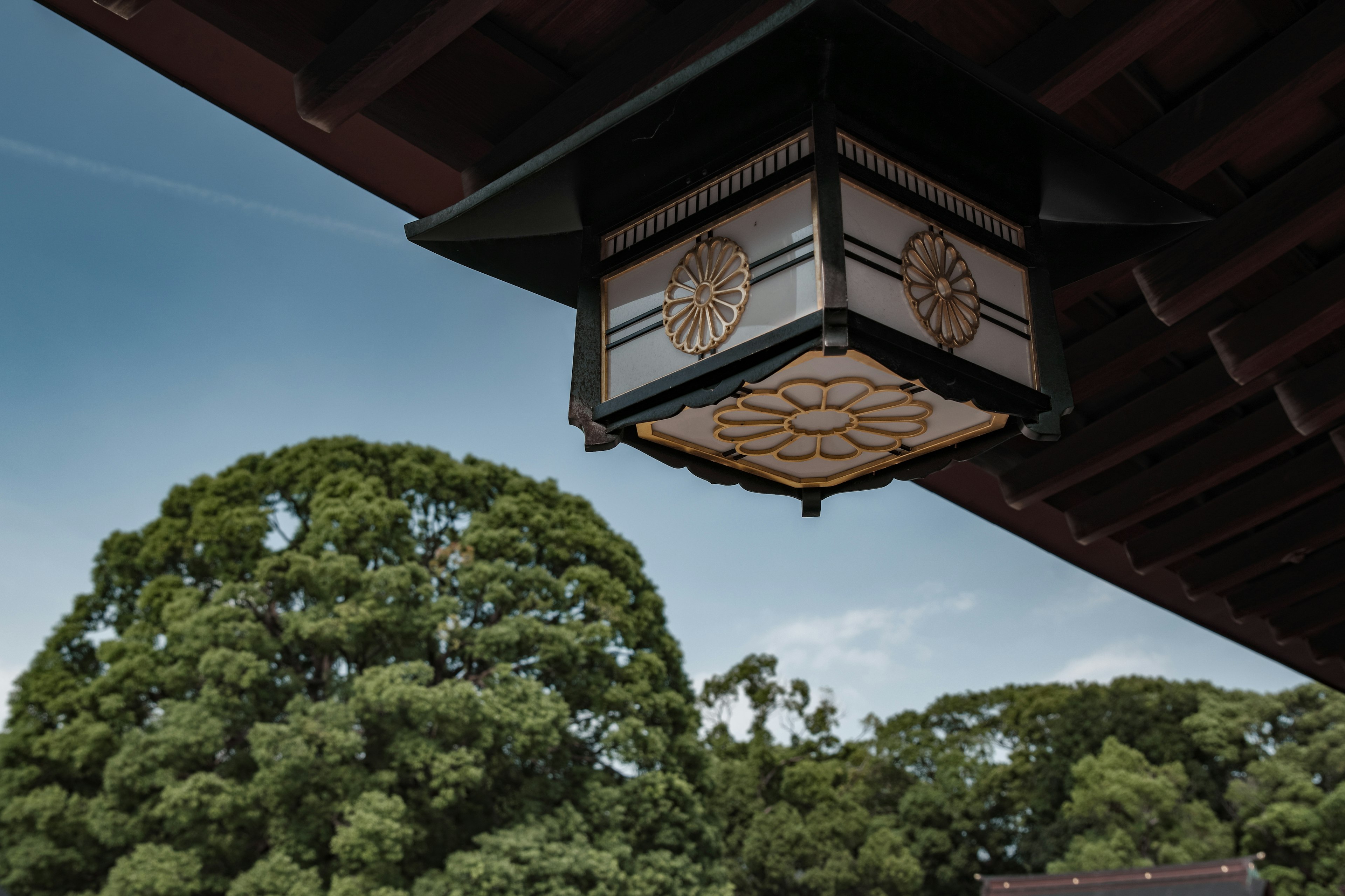 A beautiful Japanese lantern hanging above lush green trees