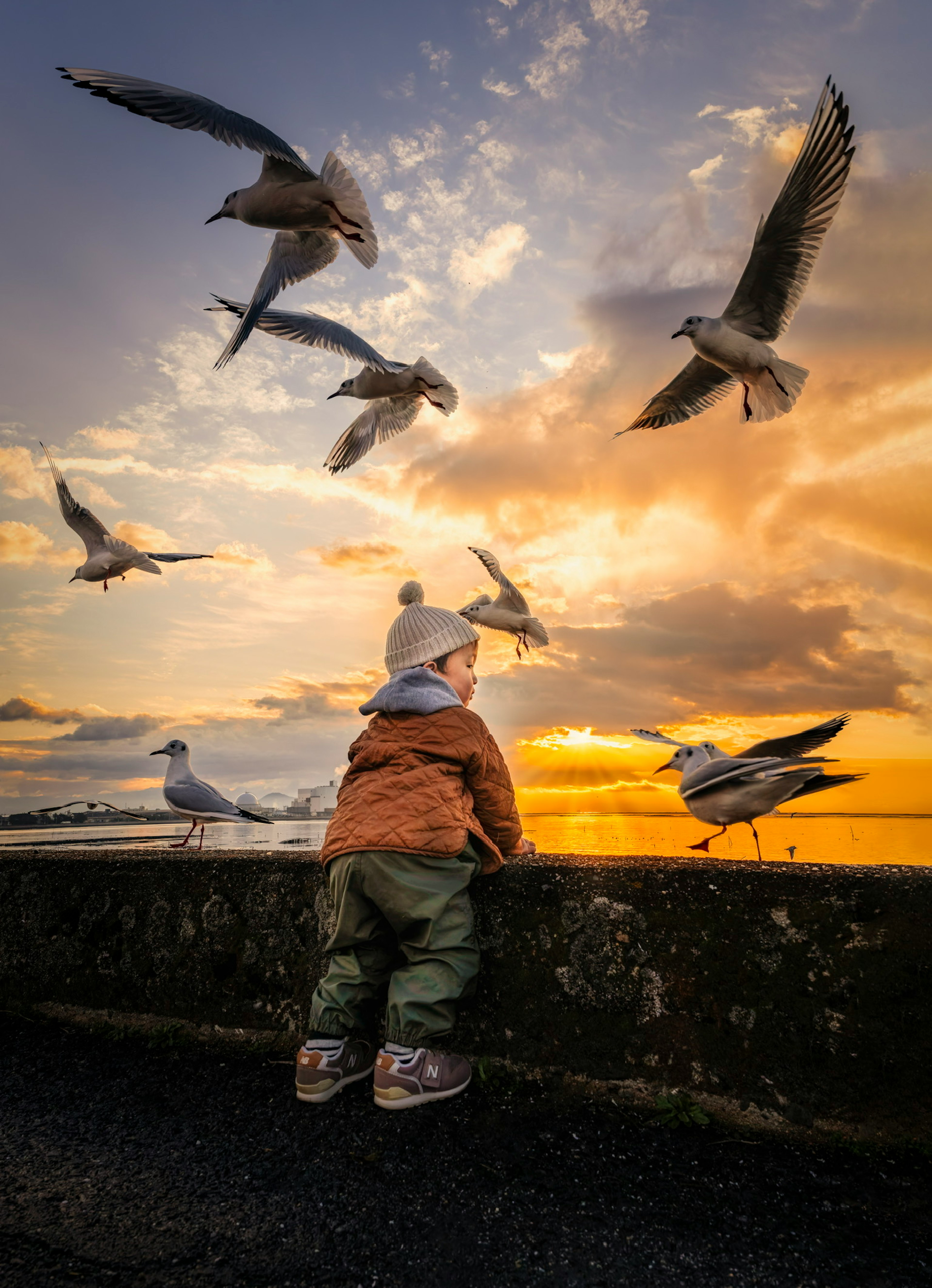 Child surrounded by seagulls at sunset