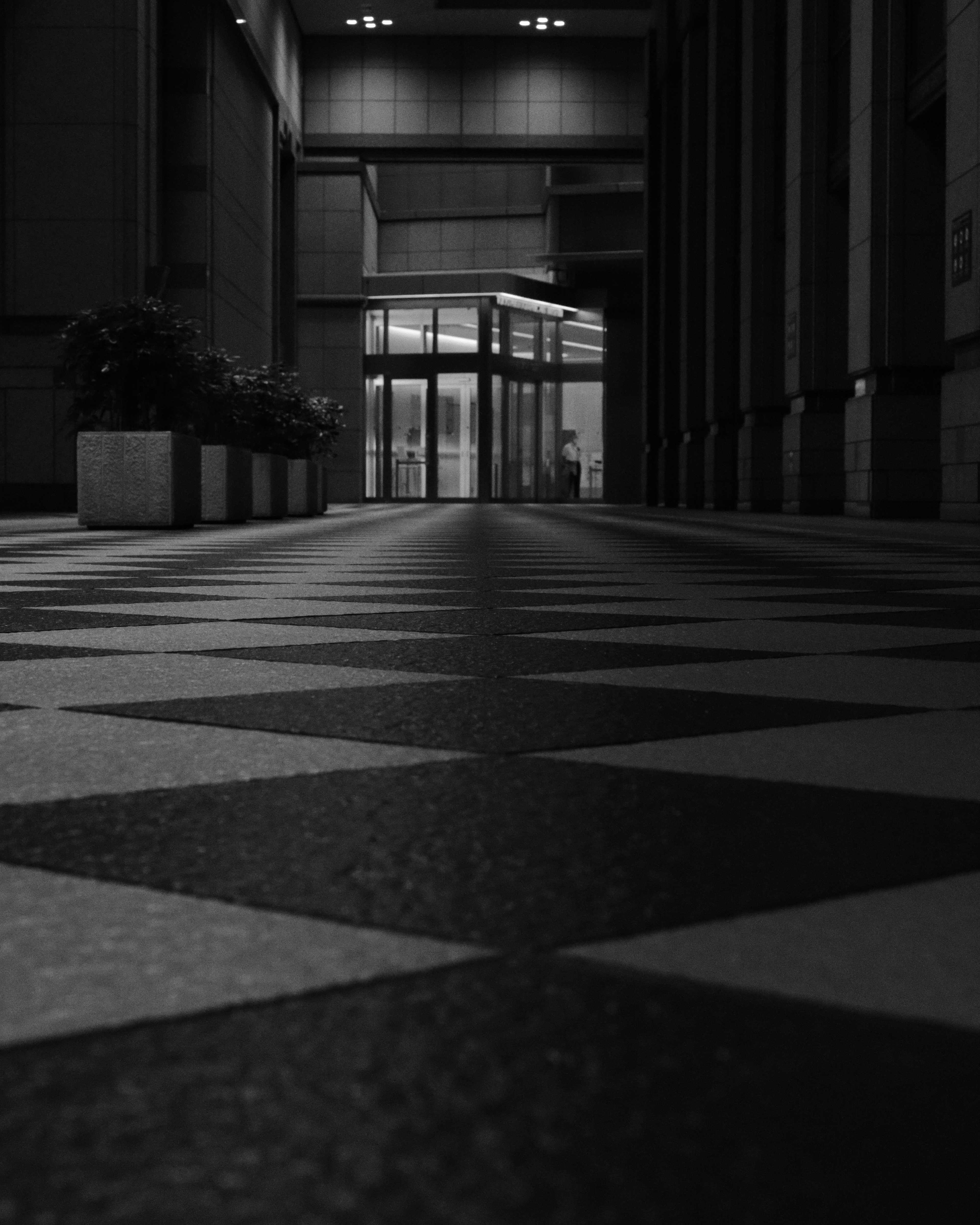 Suelo con patrones geométricos en blanco y negro con puertas de vidrio en un pasillo