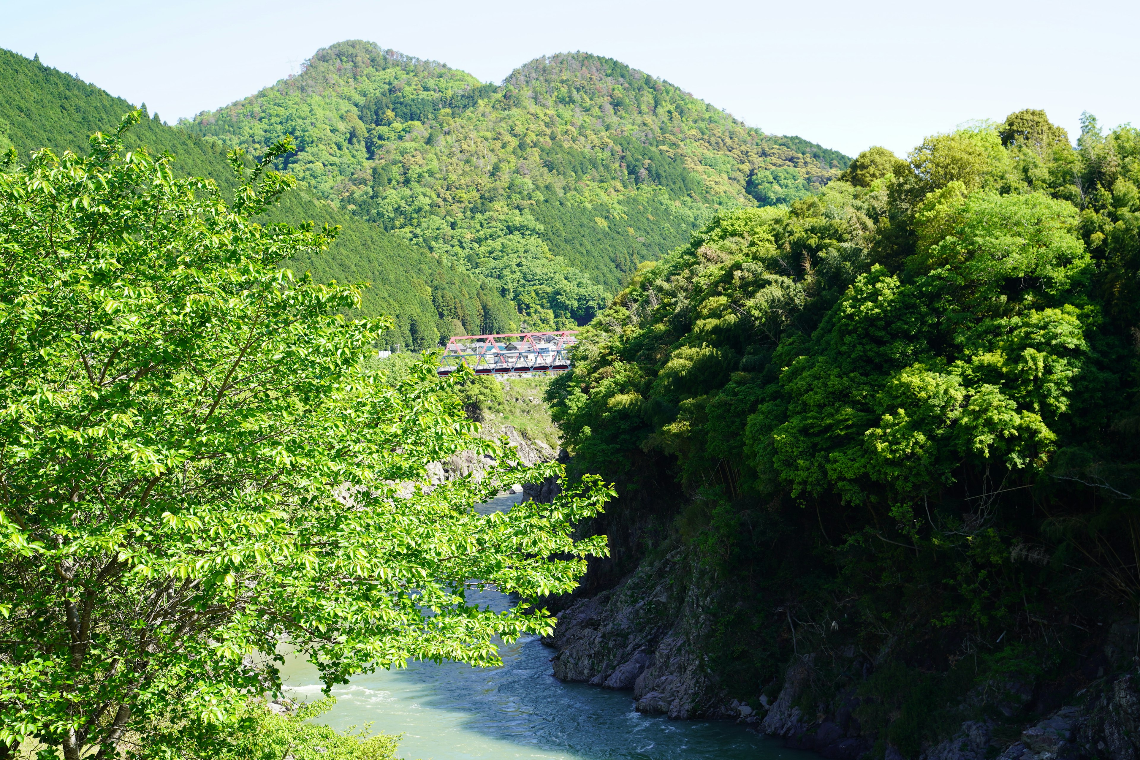 Paesaggio di montagne verdi e fiume