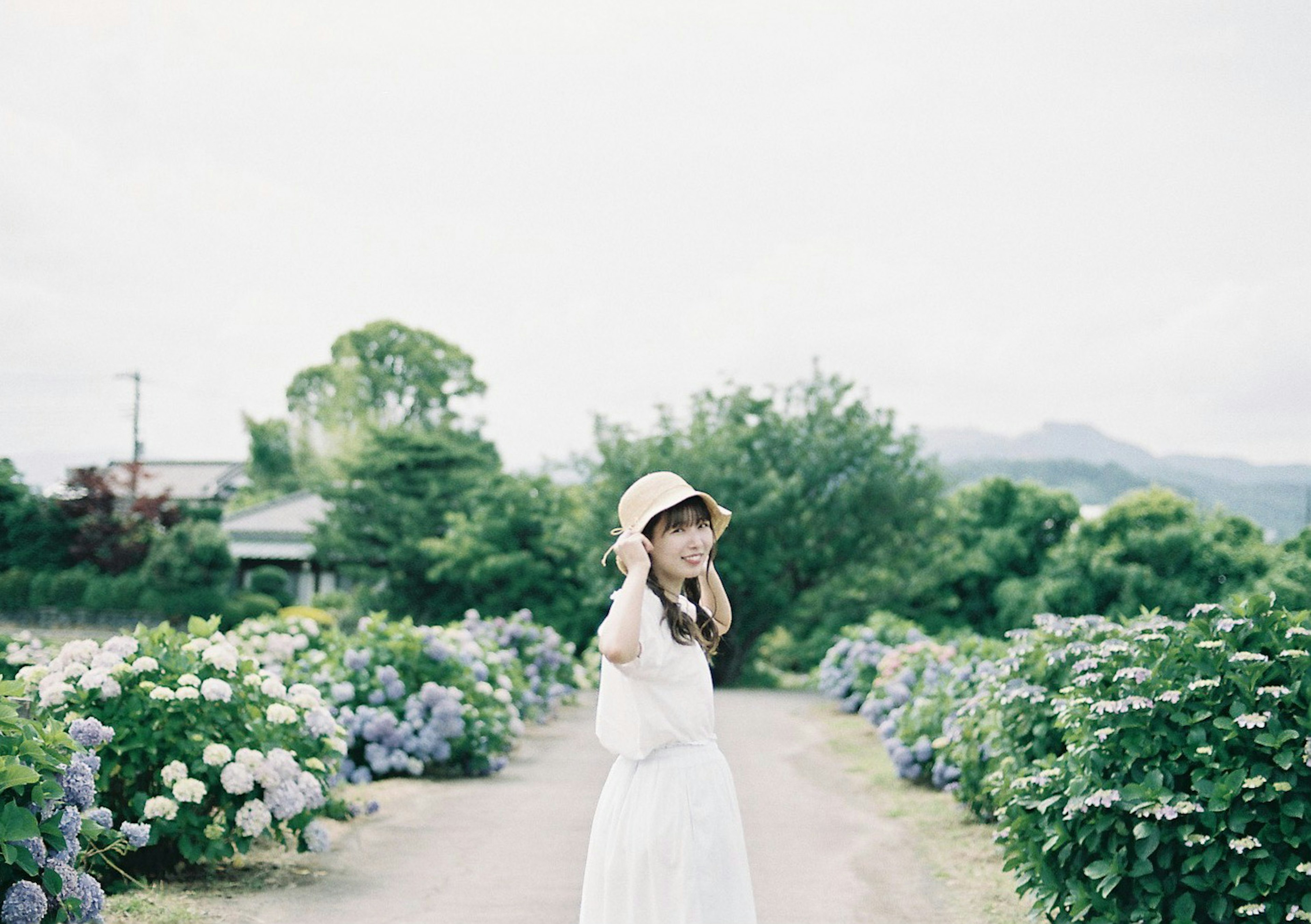 Une femme en robe blanche marchant le long d'un chemin entouré d'hortensias