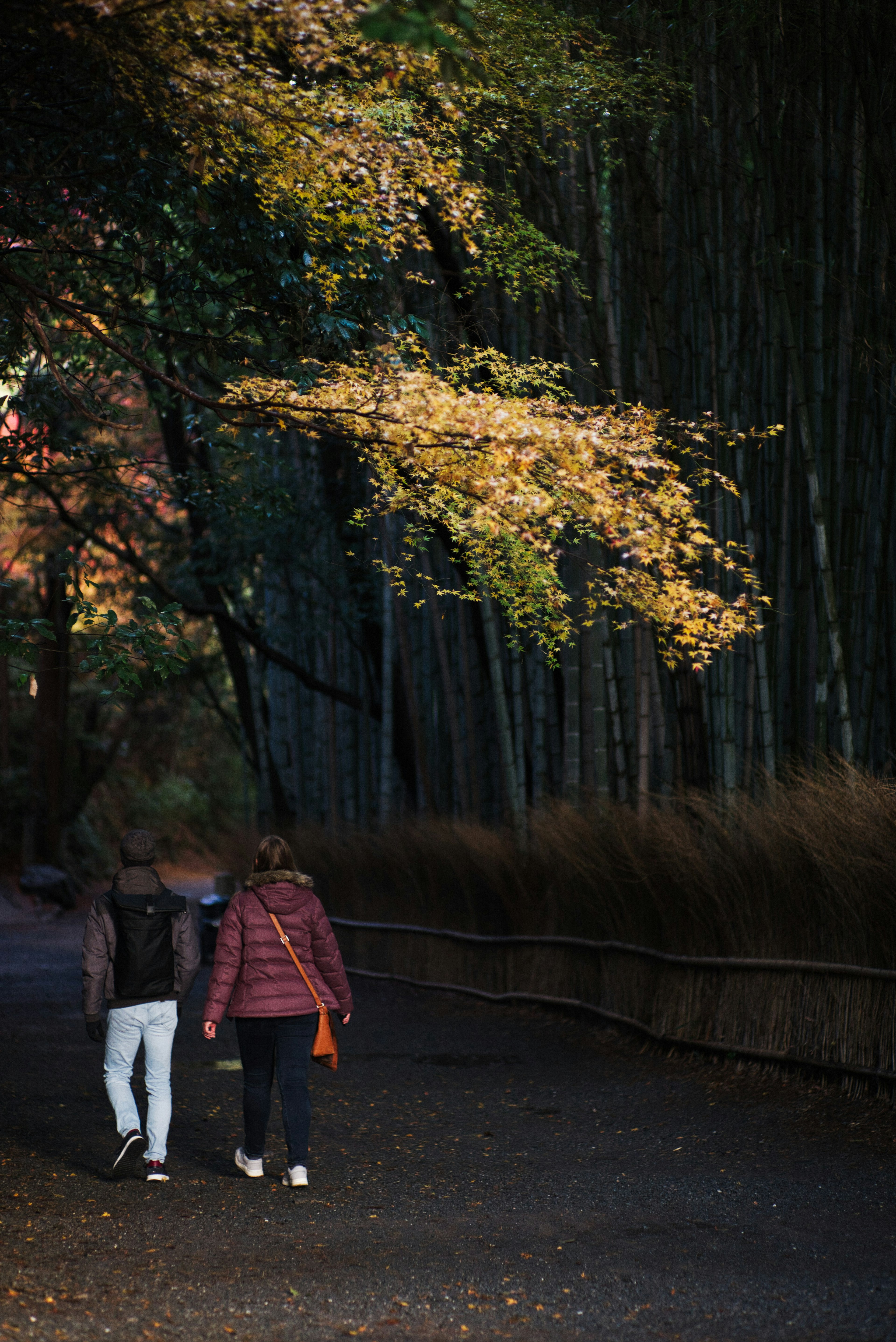 Couple walking along a path in a bamboo grove with autumn leaves