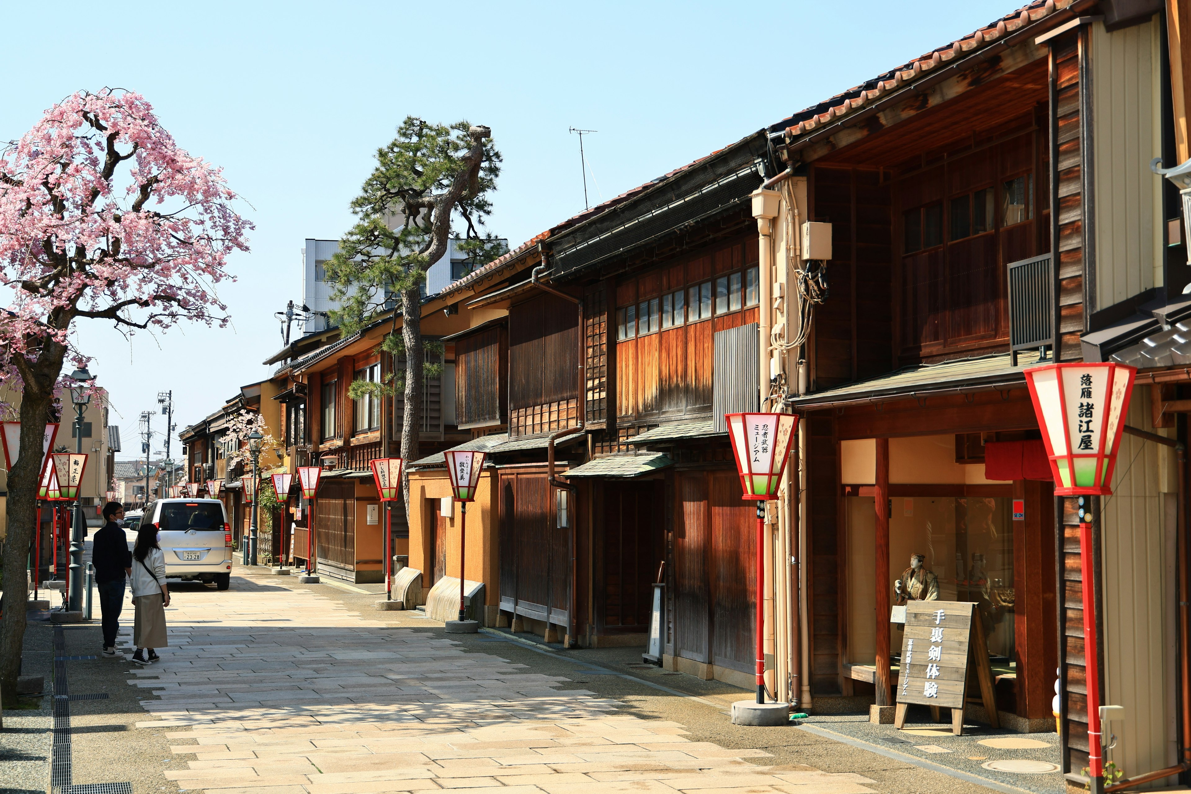 Rue japonaise traditionnelle avec des cerisiers en fleurs et des bâtiments en bois