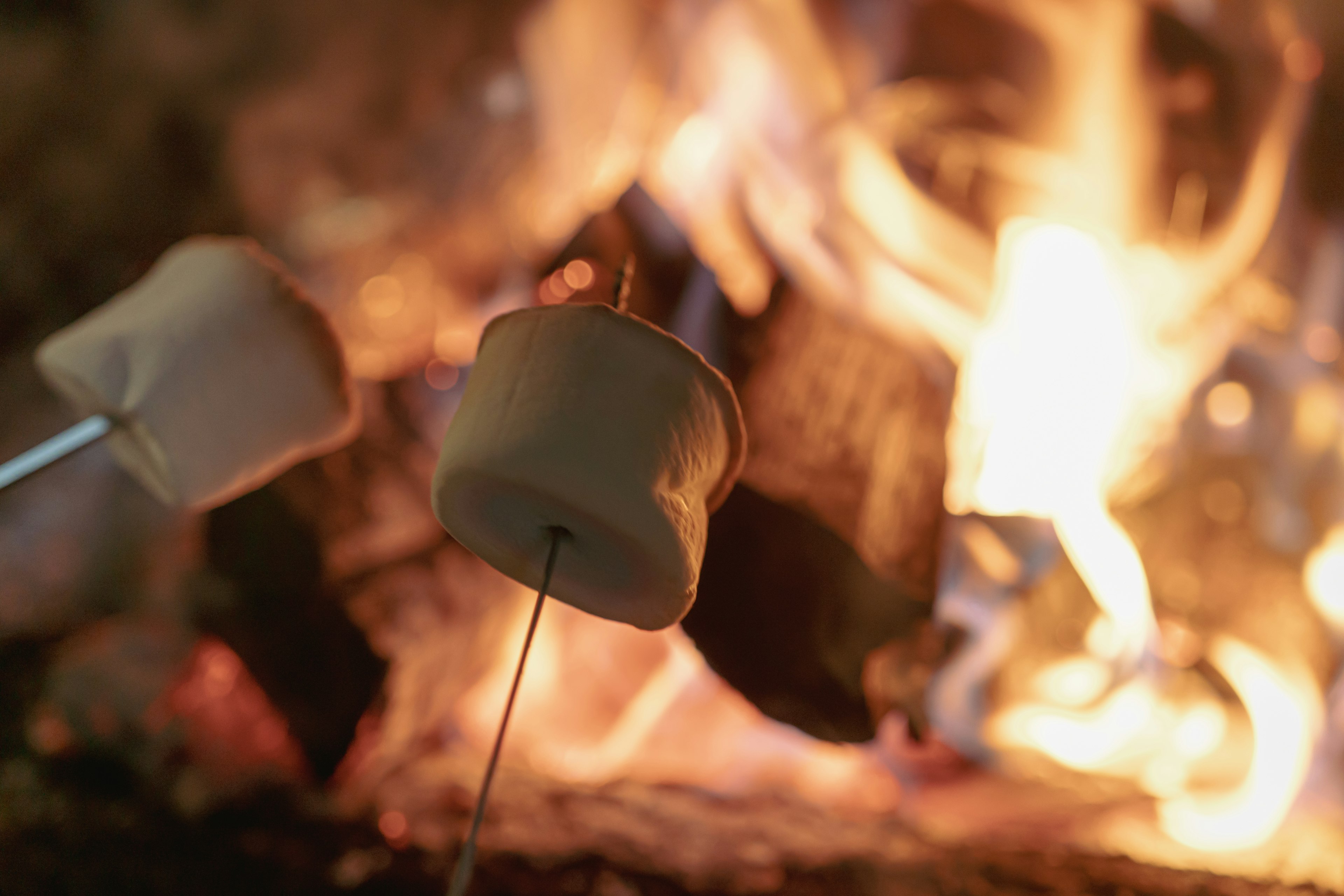 Nahaufnahme von Marshmallows, die über einem Feuer geröstet werden