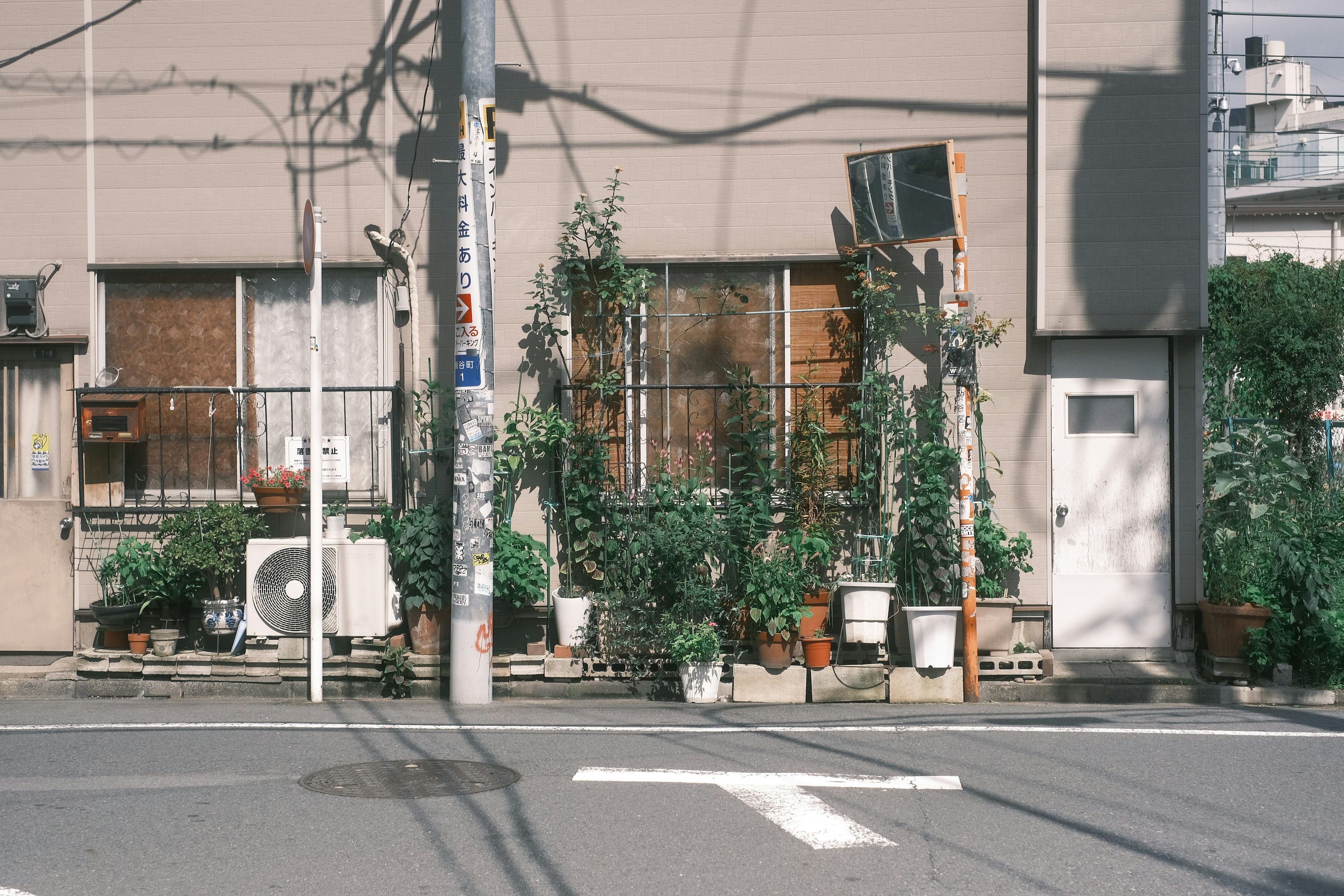 住宅街の前にある植物が並ぶ風景　窓の外に緑の鉢植え　電柱と電線が交差している