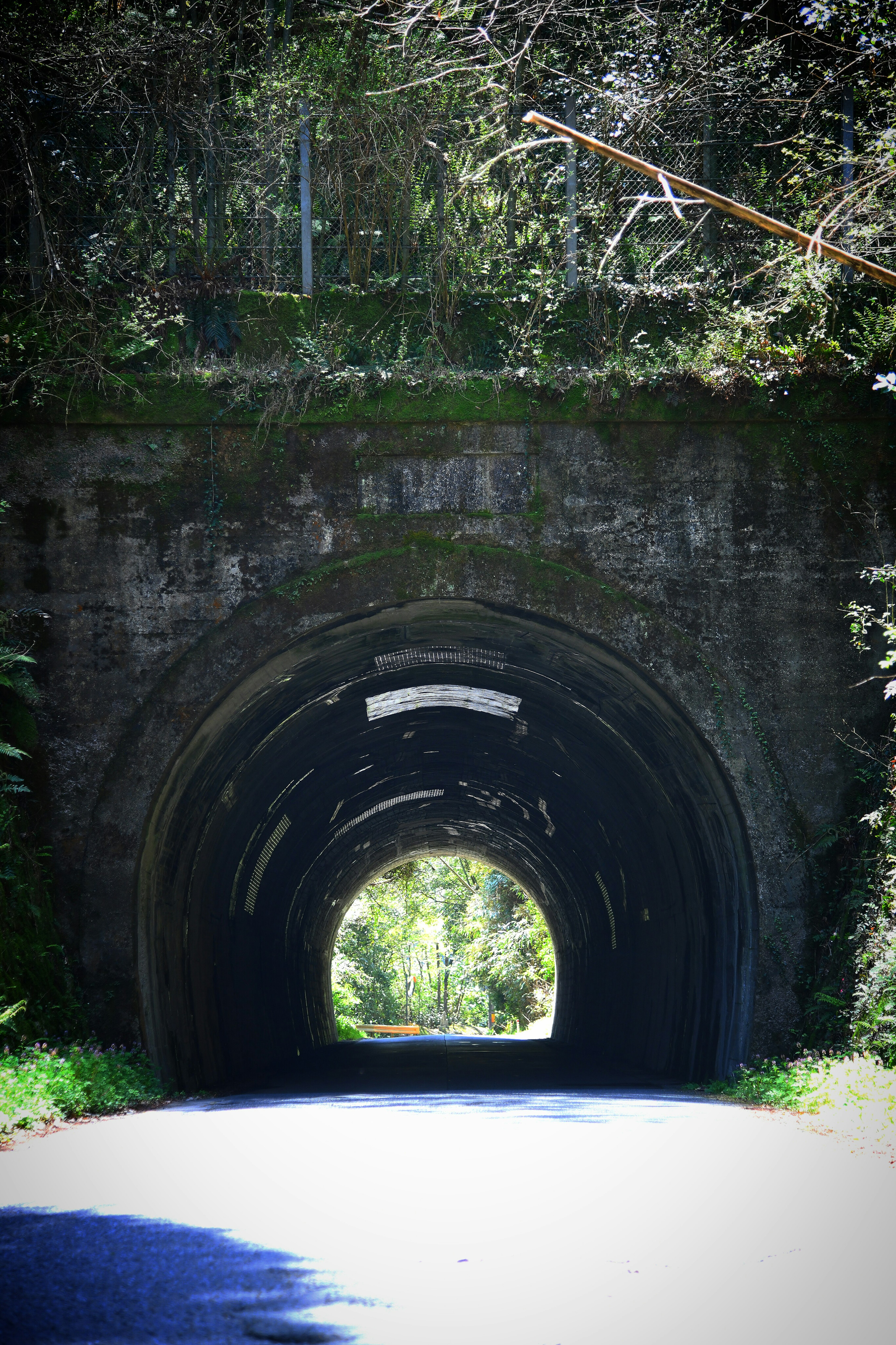 Vista de un túnel rodeado de vegetación con luz visible al final