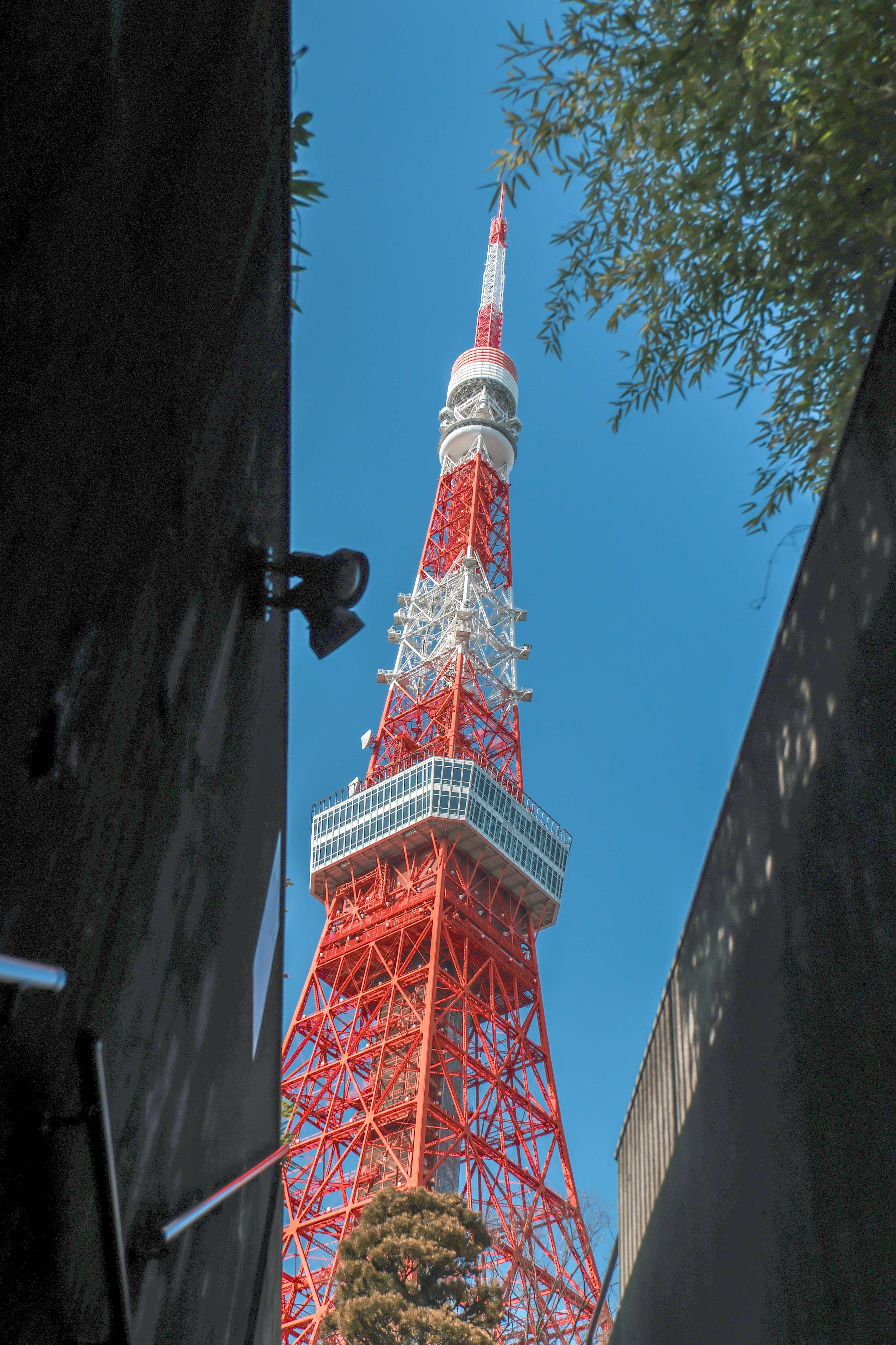 東京タワーが青空の下に見える