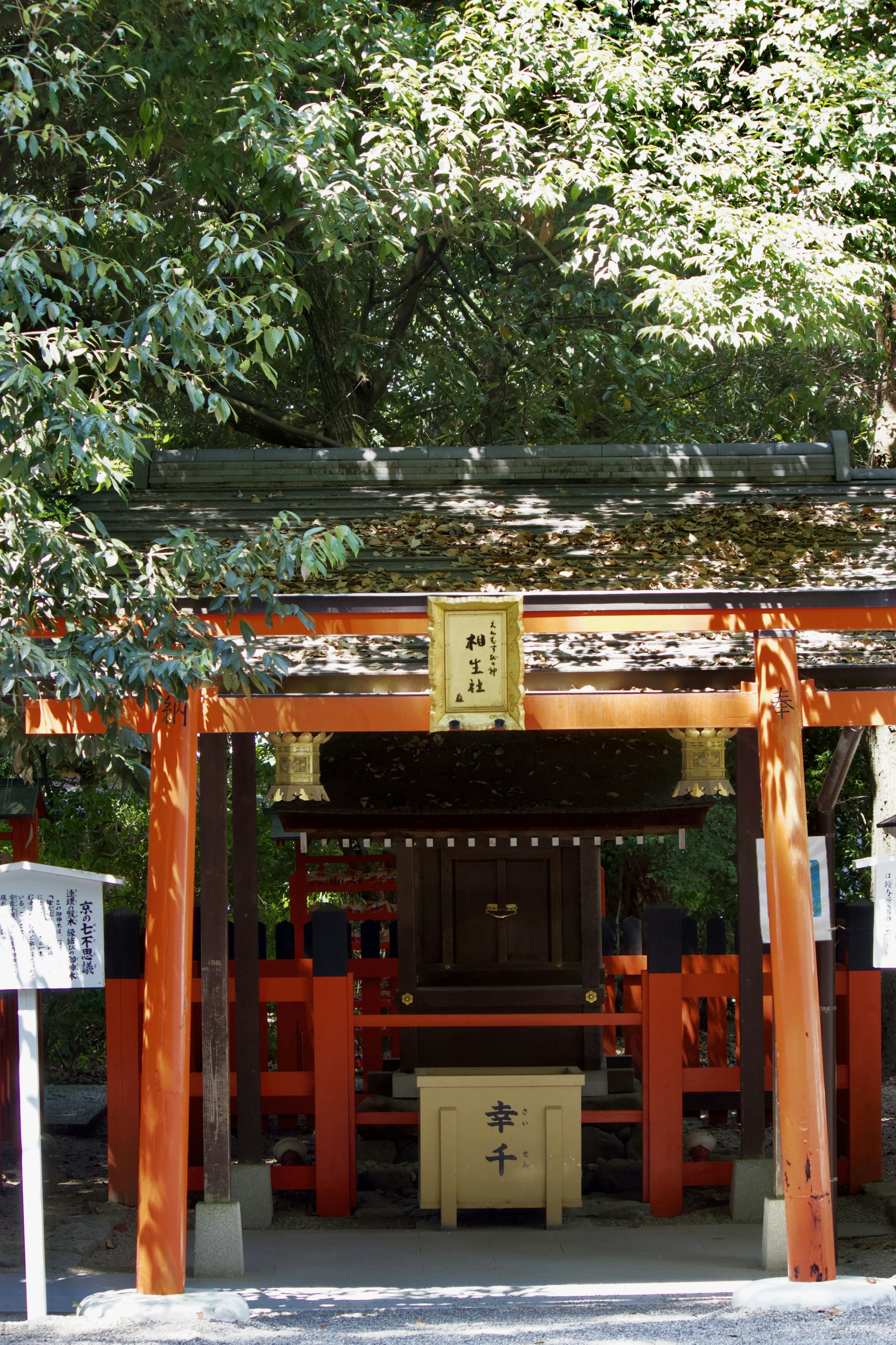 Pintu kuil yang dikelilingi oleh pepohonan hijau dengan gerbang torii oranye cerah dan altar kayu