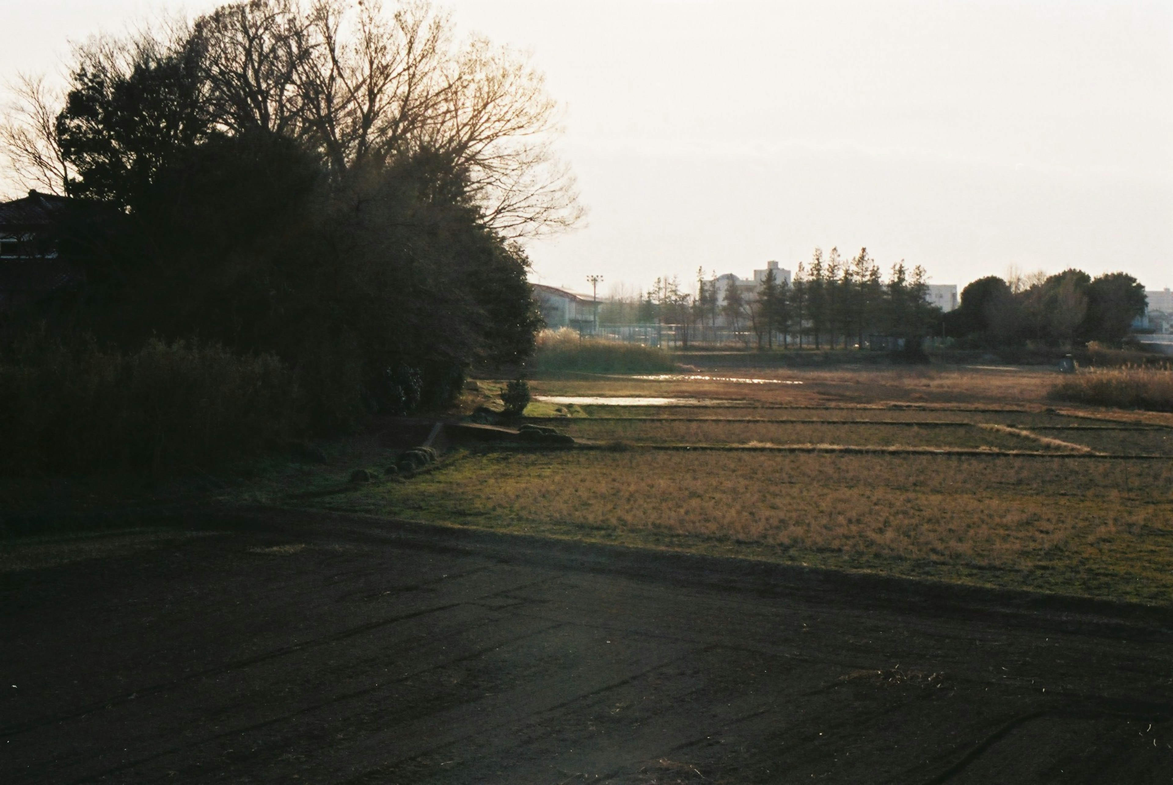 Paesaggio rurale tranquillo con luce solare bassa